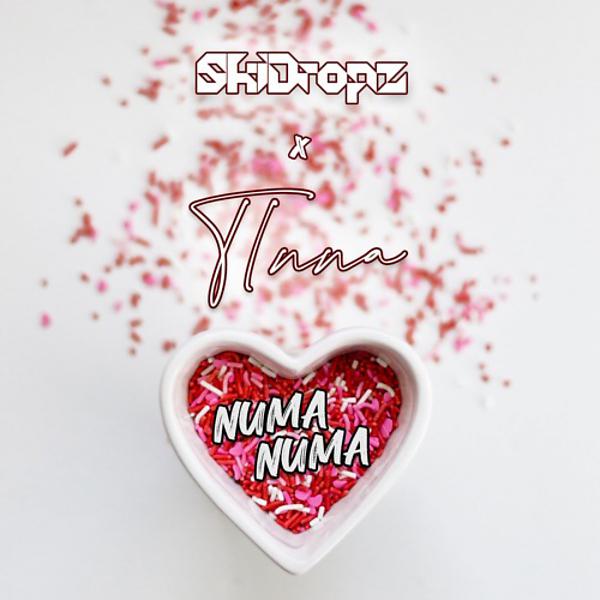 Постер альбома Numa Numa