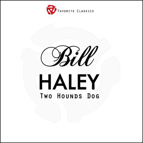 Bill Haley - Rock a Beatin Boogi