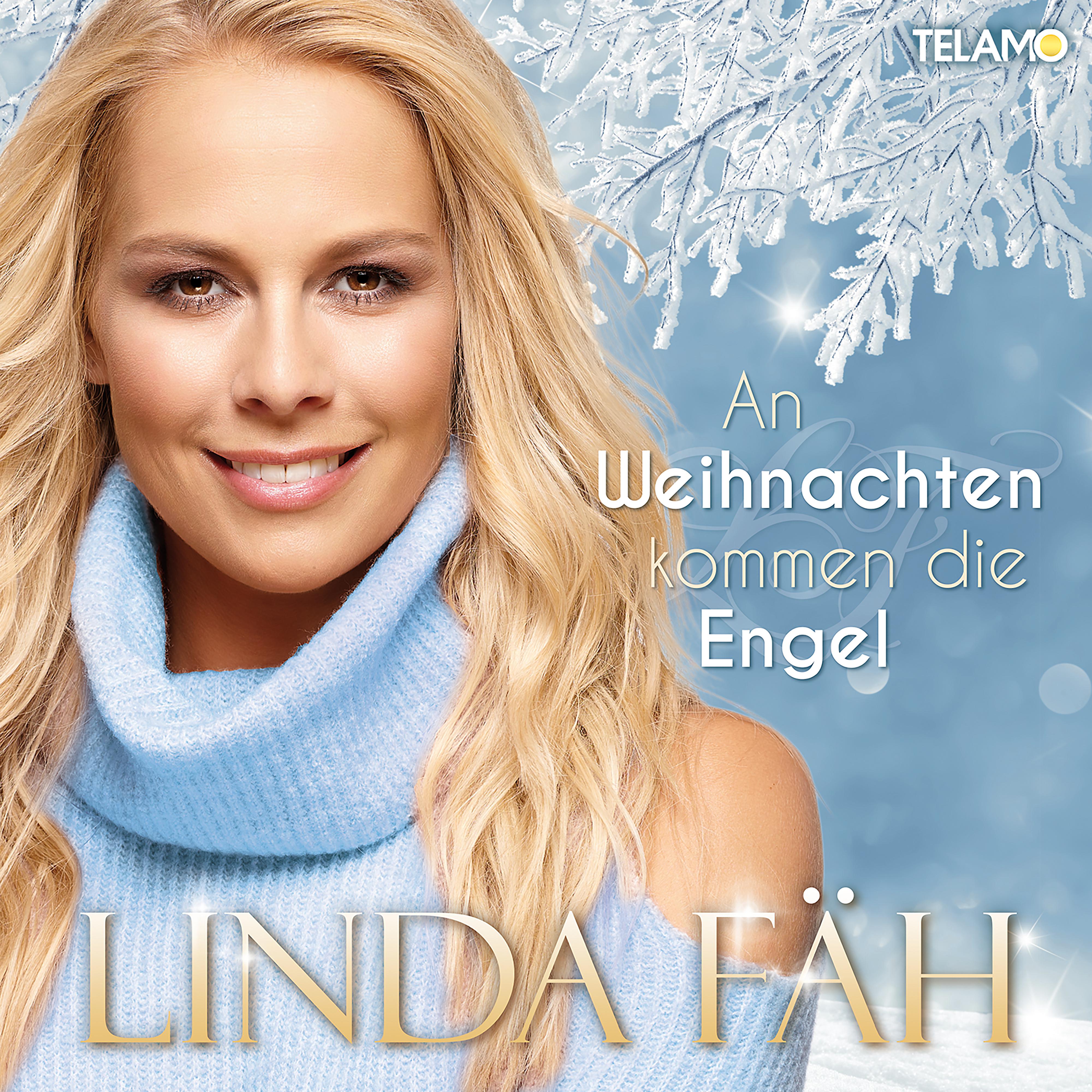 Постер альбома An Weihnachten kommen die Engel