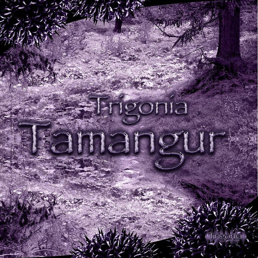 Постер альбома Tamangur