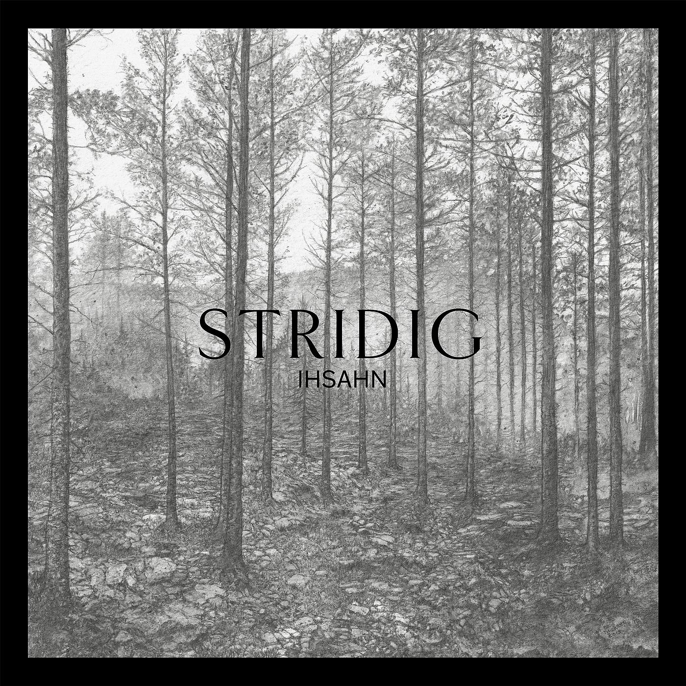 Постер альбома Stridig