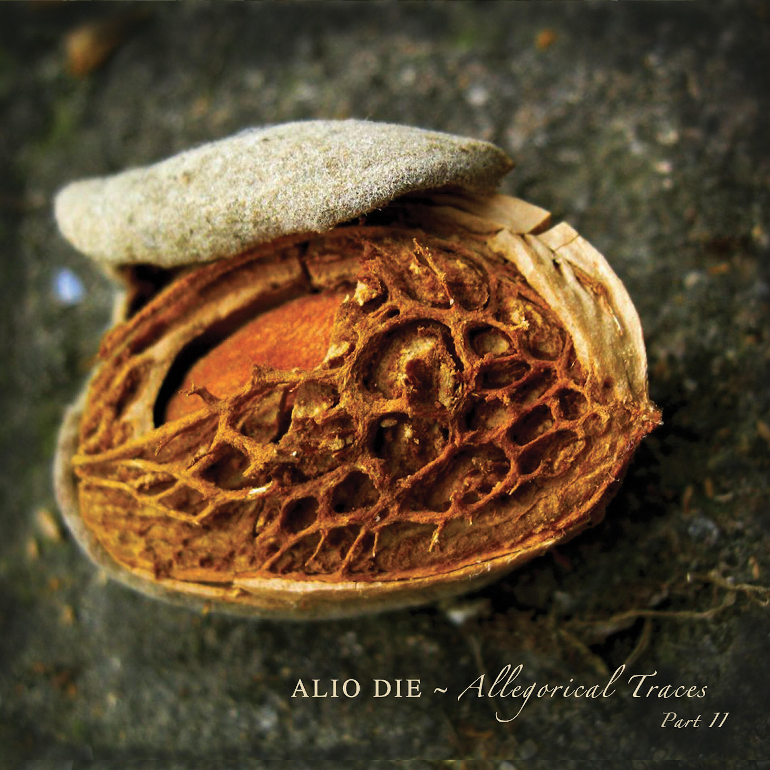 Alio Die - Birth of a Brass Gate