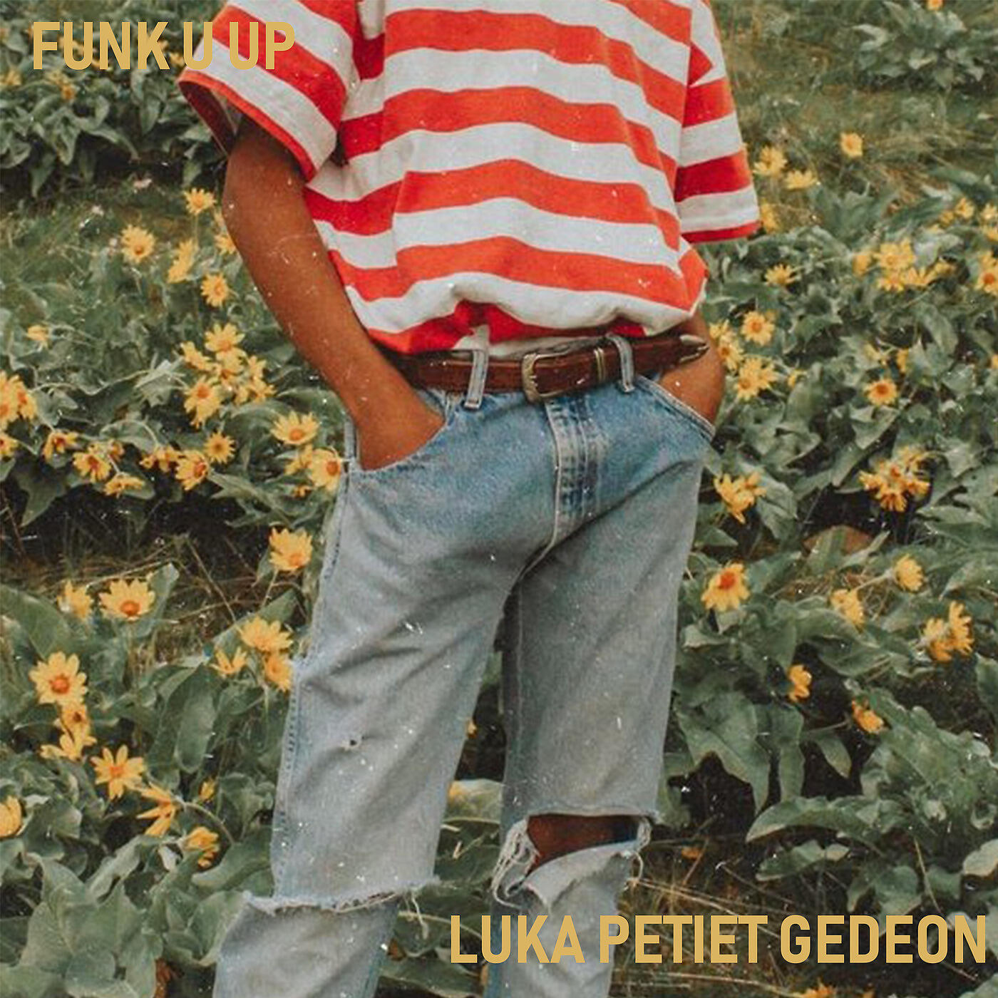 Luka Petiet Gedeon - Funk U up