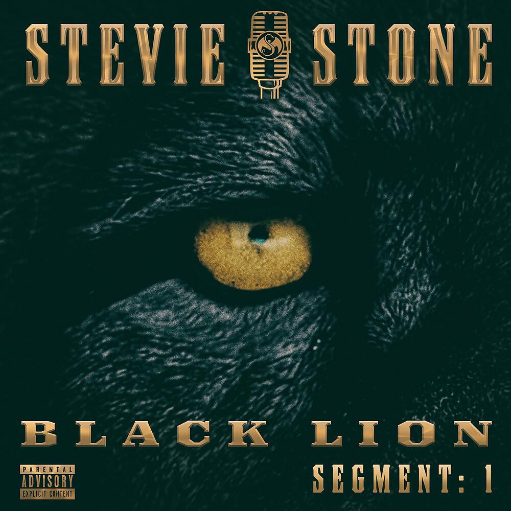 Постер альбома Black Lion Segment: 1