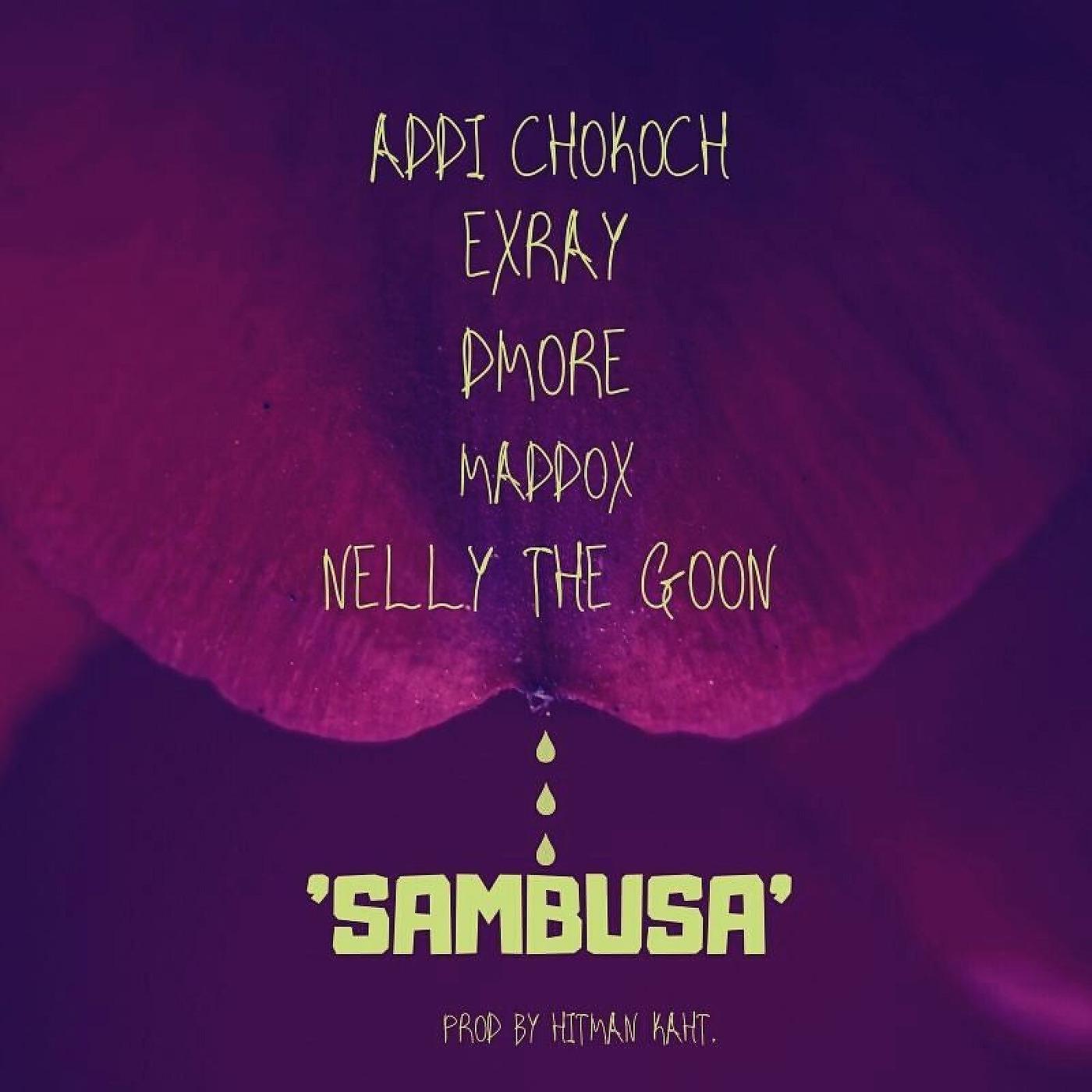 Постер альбома Sambusa