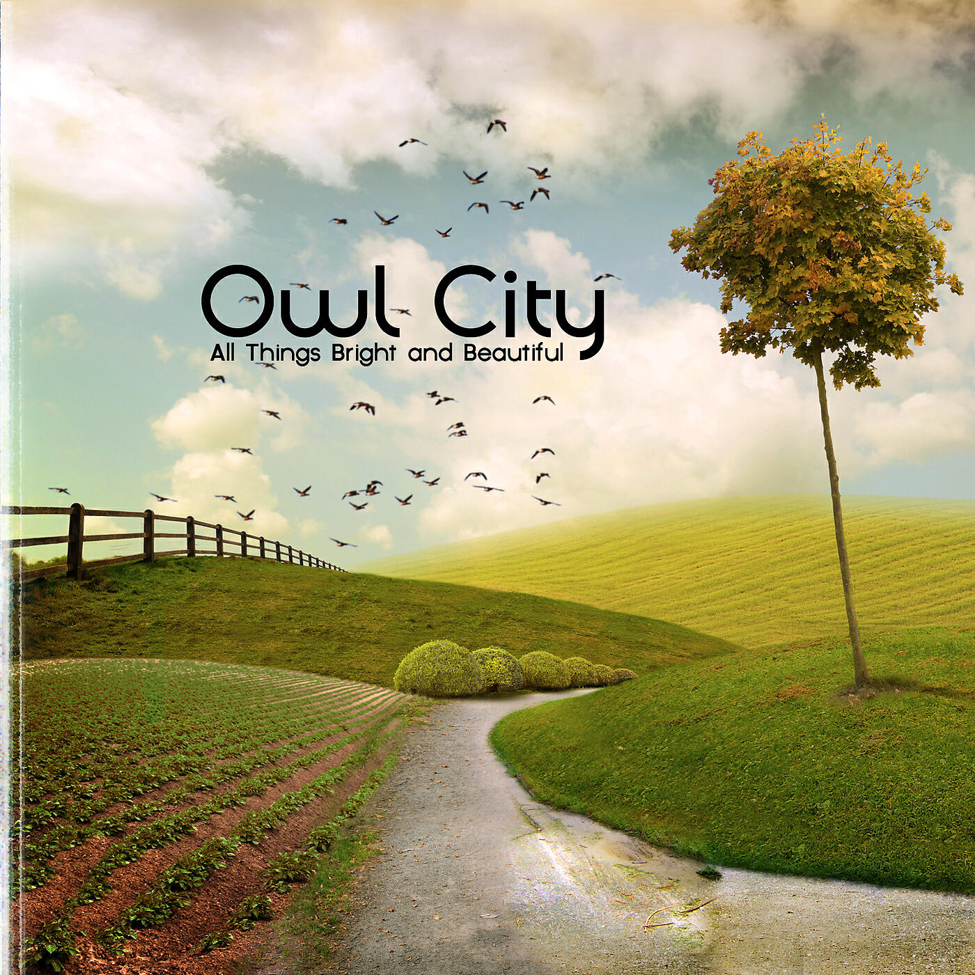 Owl City - The Yacht Club (Album Version)