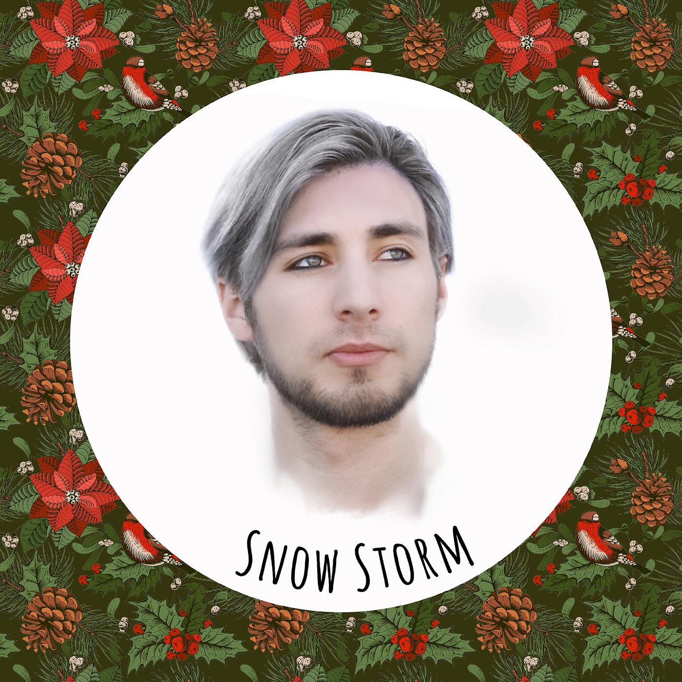 Постер альбома Snow Storm