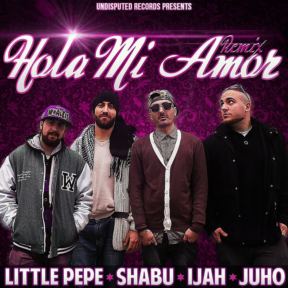Постер альбома Hola Mi Amor (Remix)