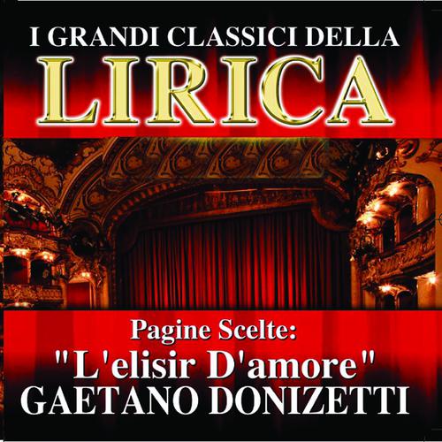 Постер альбома Gaetano Donizetti : L'elisir d'amore, Pagine scelte