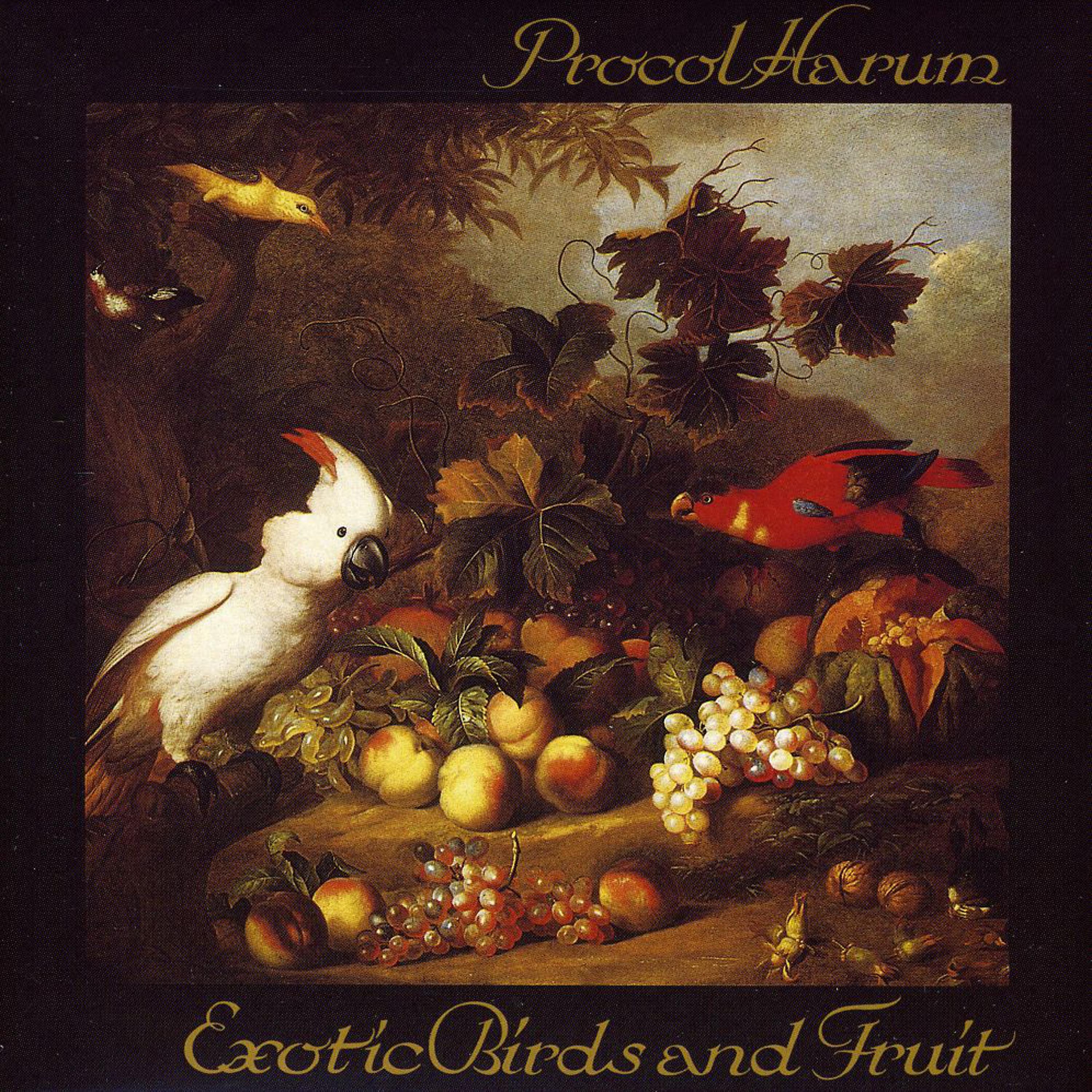 Постер альбома Exotic Birds and Fruit