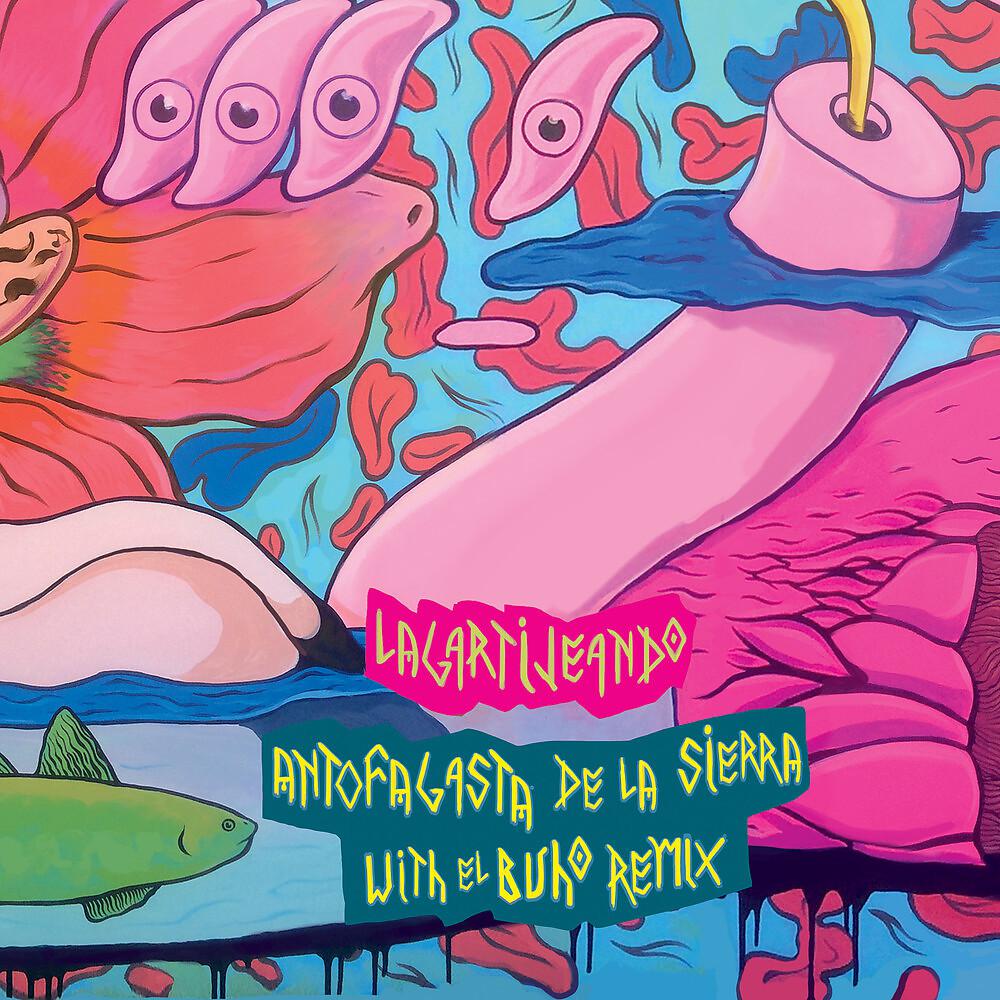 Постер альбома Antofogasta de la Sierra