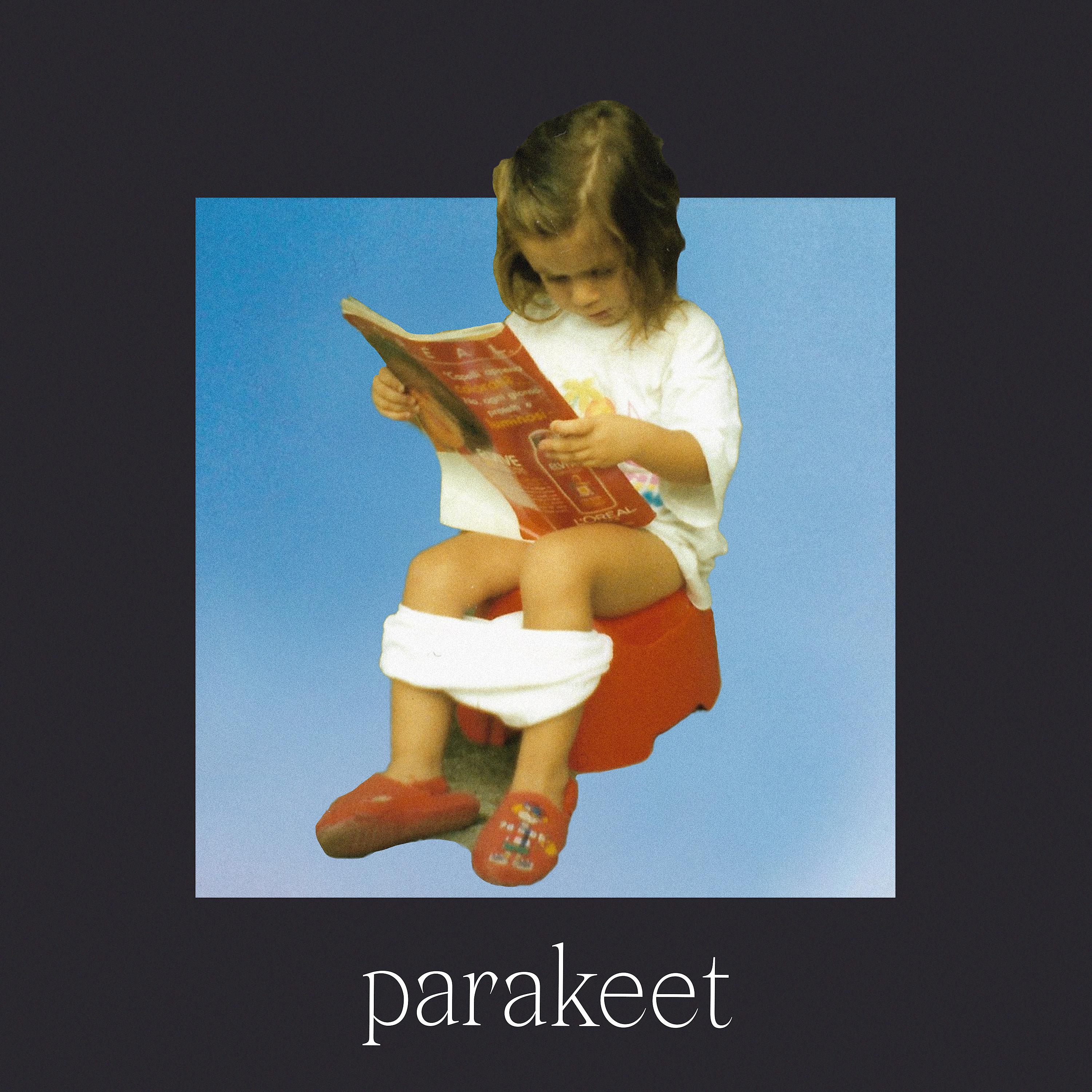 Постер альбома Parakeet