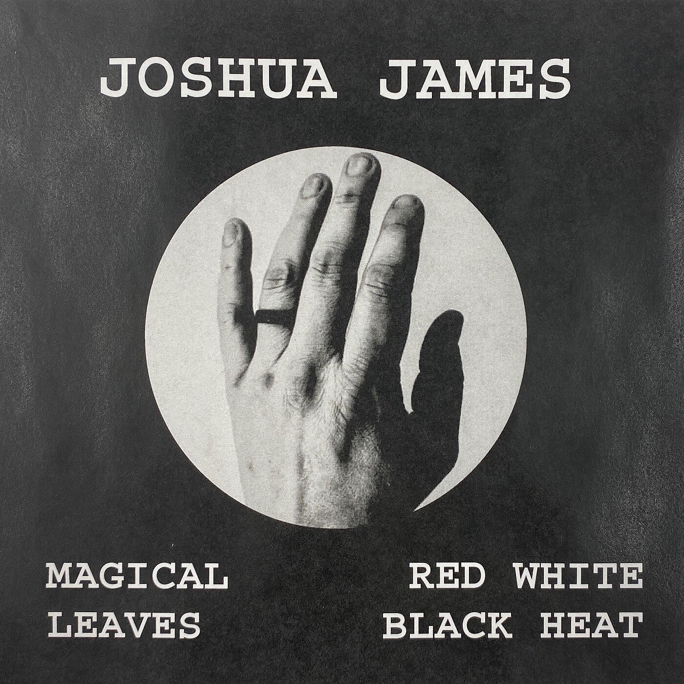 Joshua James - This Land Is Your Land