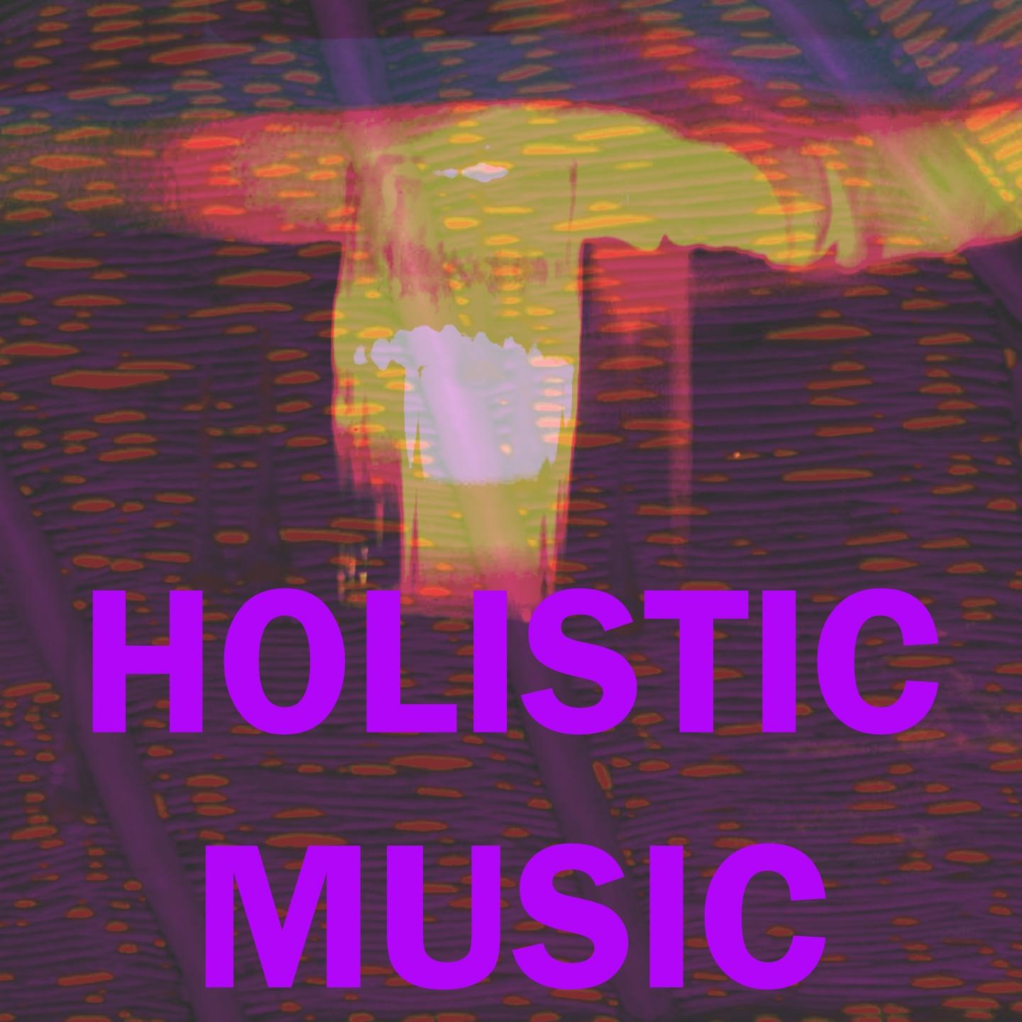 Постер альбома Holistic Music