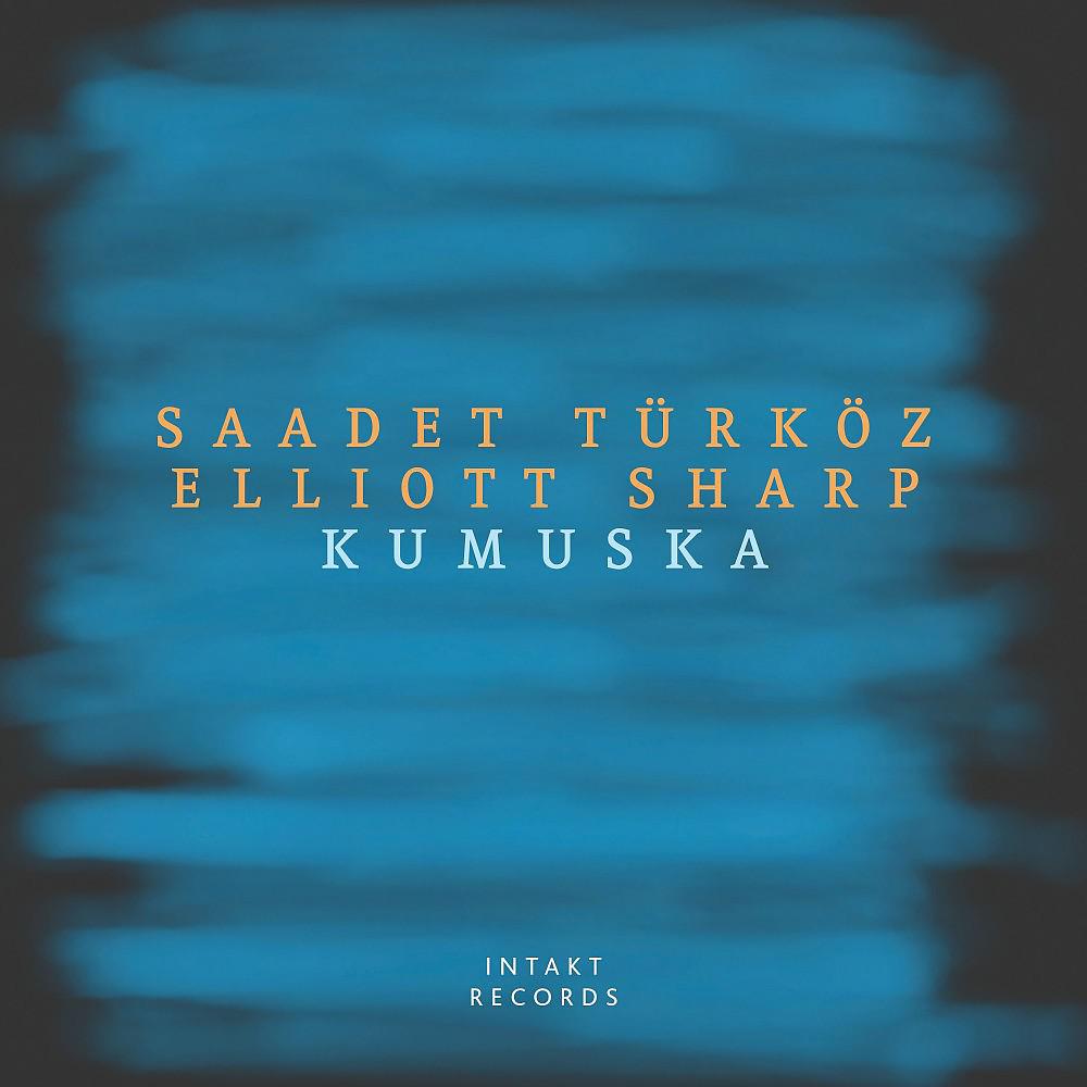 Постер альбома Kumuska