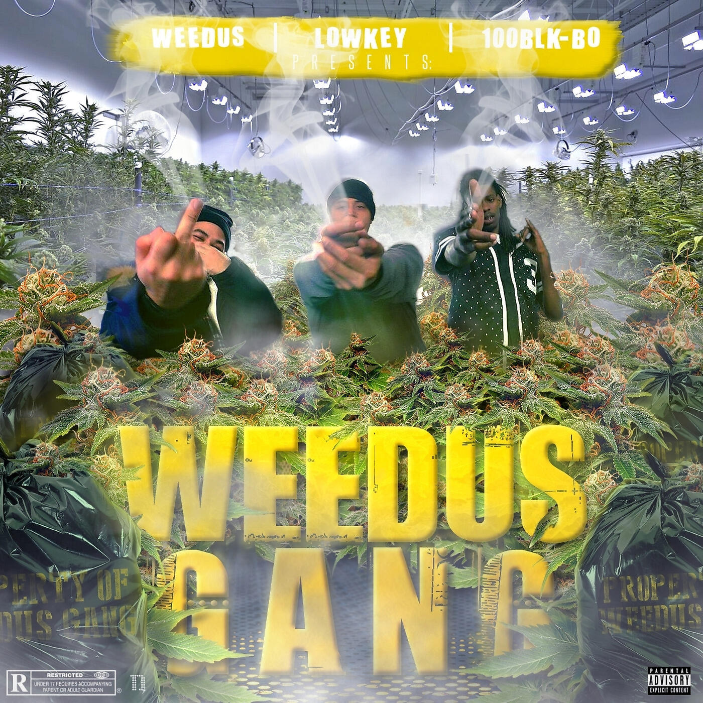 LOWKEY - Natural Born Hustlahz