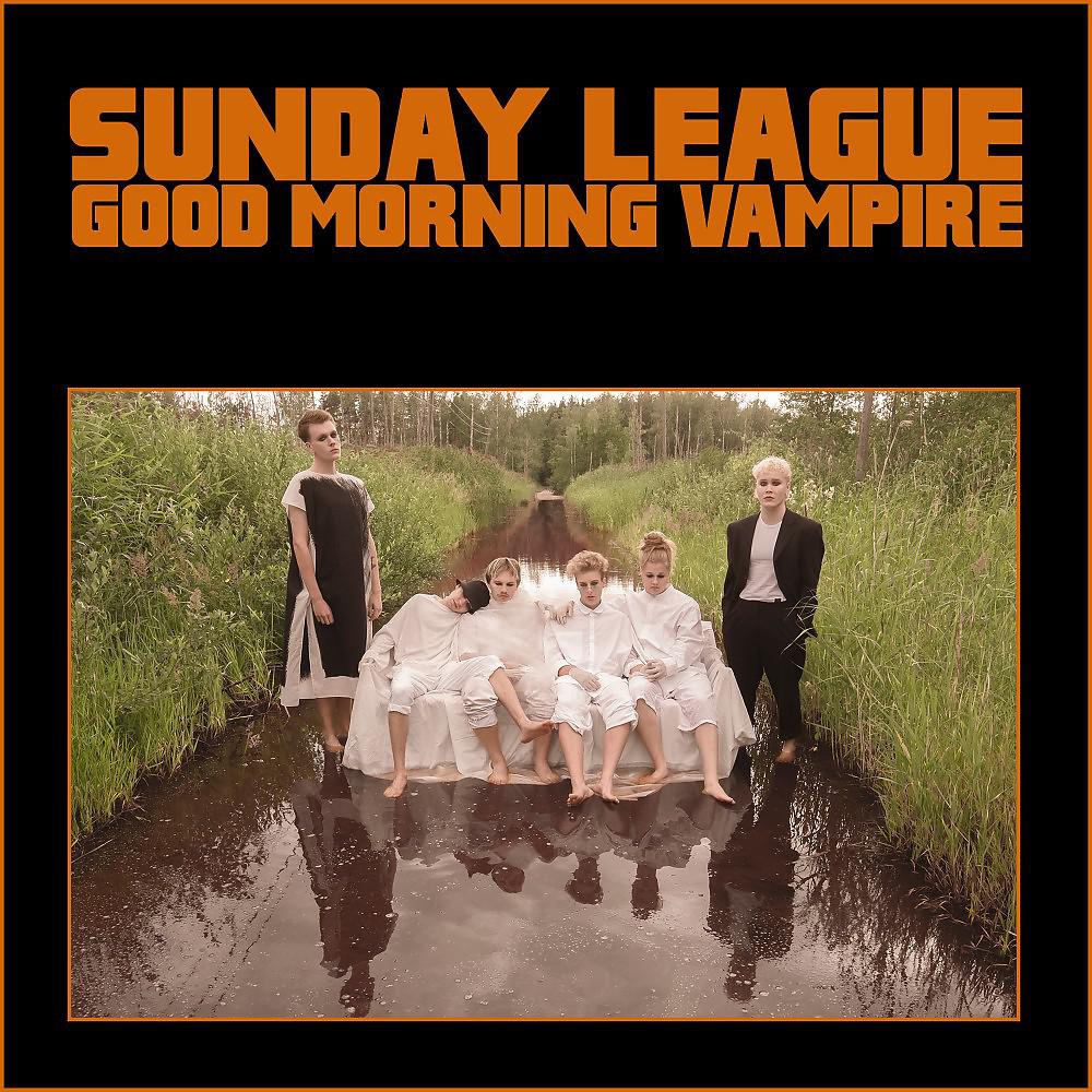 Постер альбома Good Morning Vampire