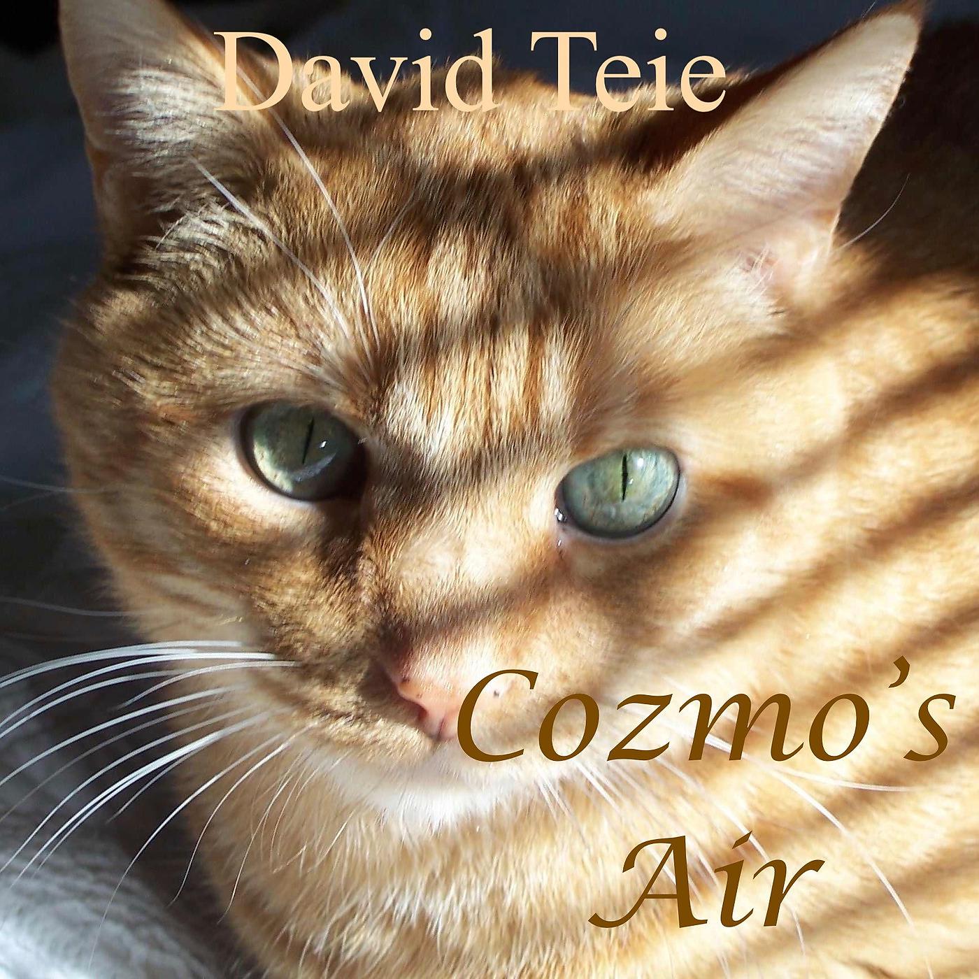 Постер альбома Cozmo's Air