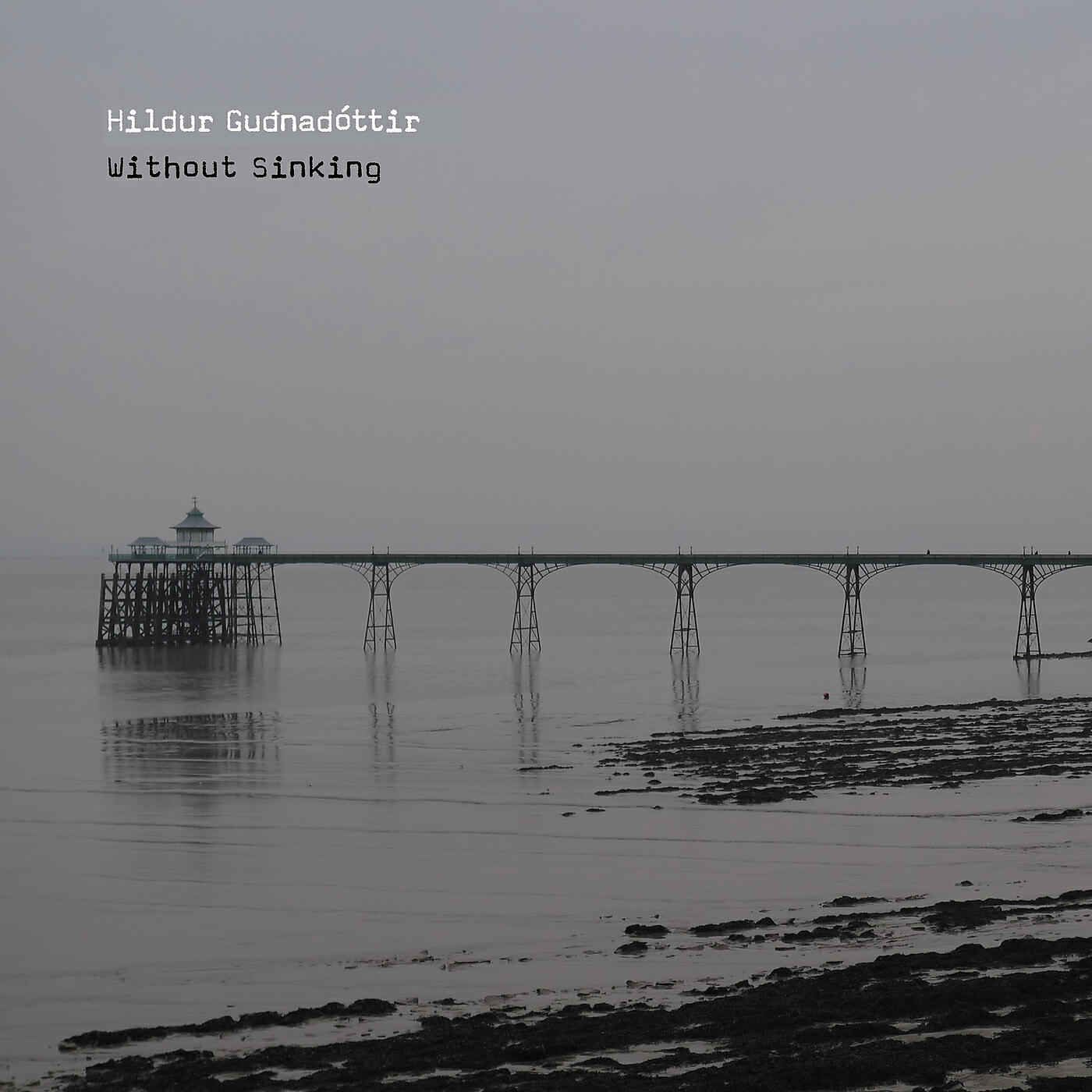 Hildur Guðnadóttir - Elevation