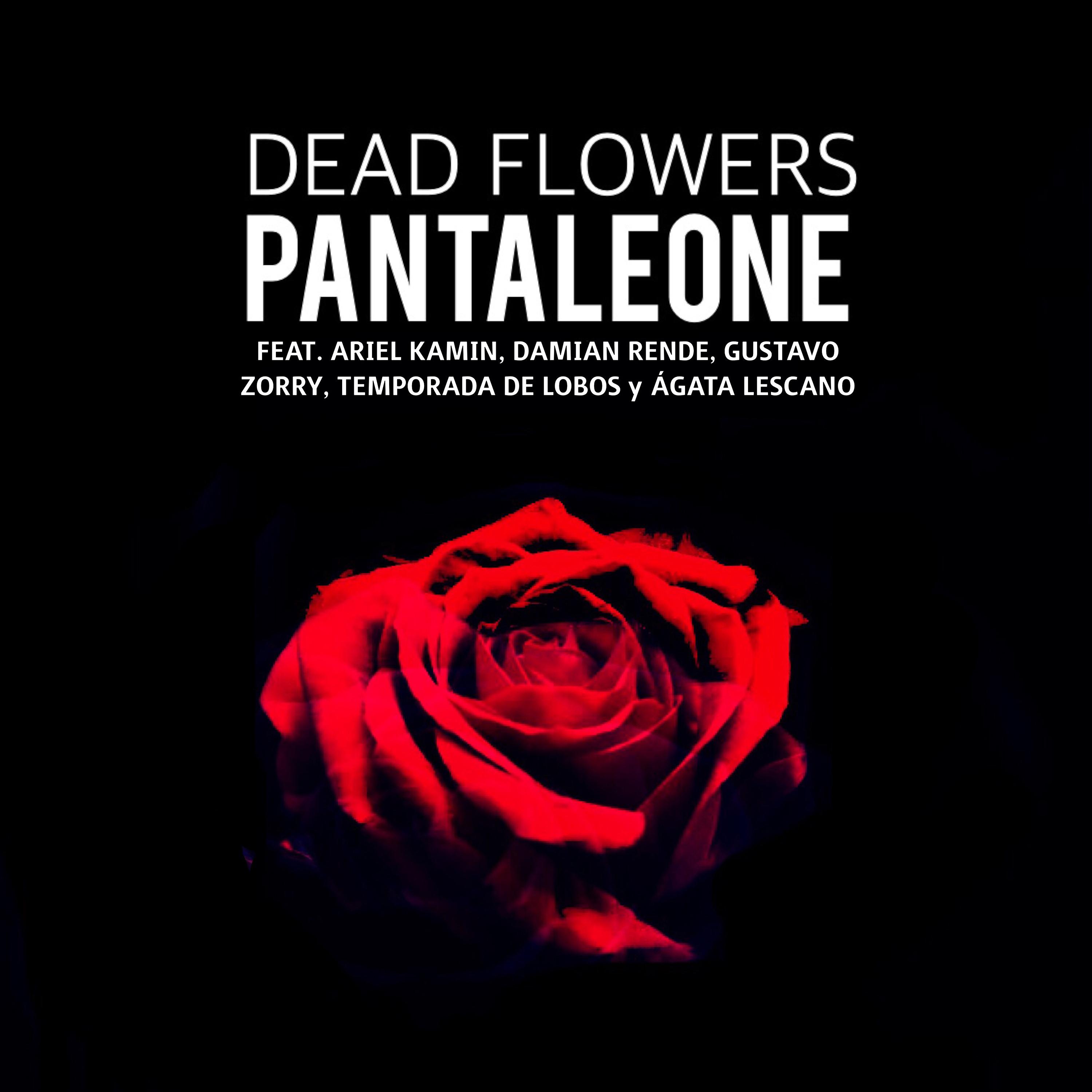 Постер альбома Dead Flowers