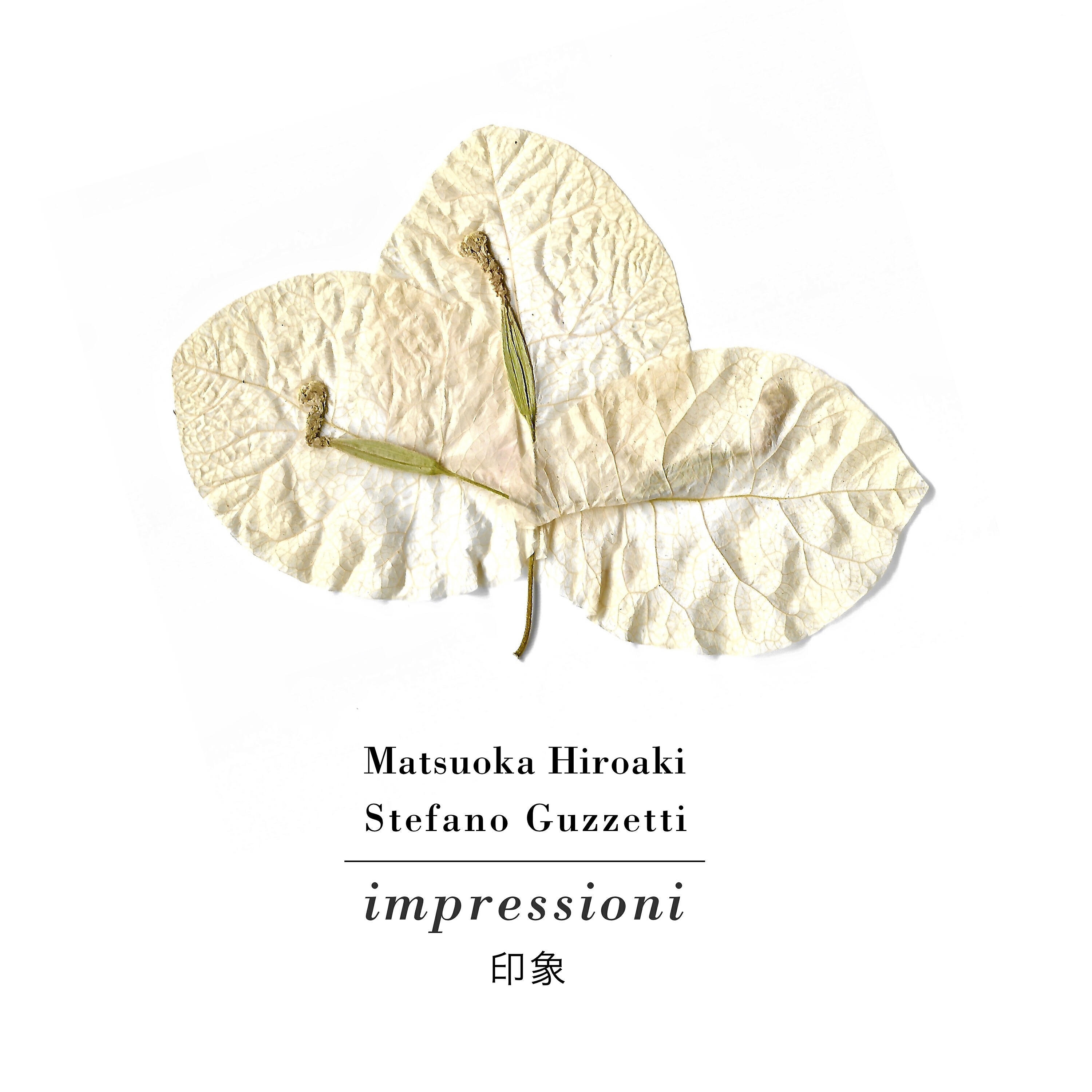 Stefano Guzzetti - Foresta oscura