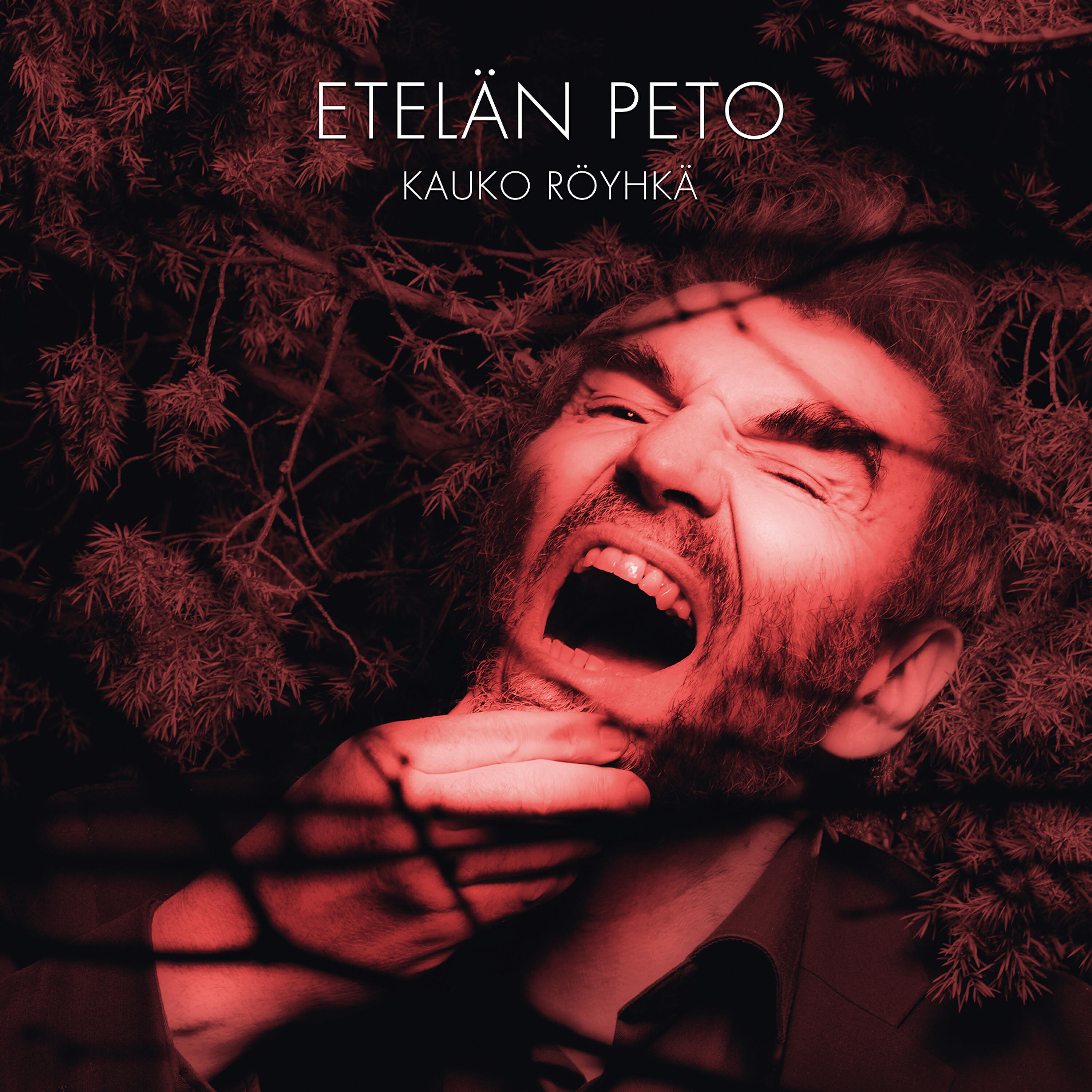 Kauko Röyhkä - Etelän peto