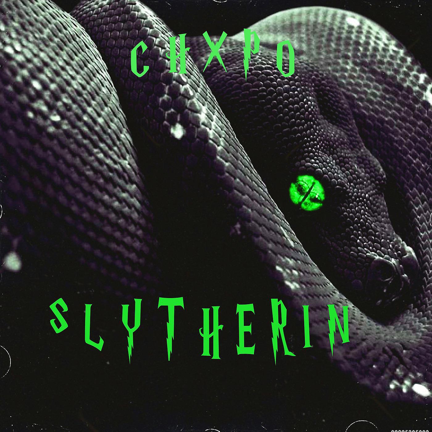 Постер альбома Slytherin