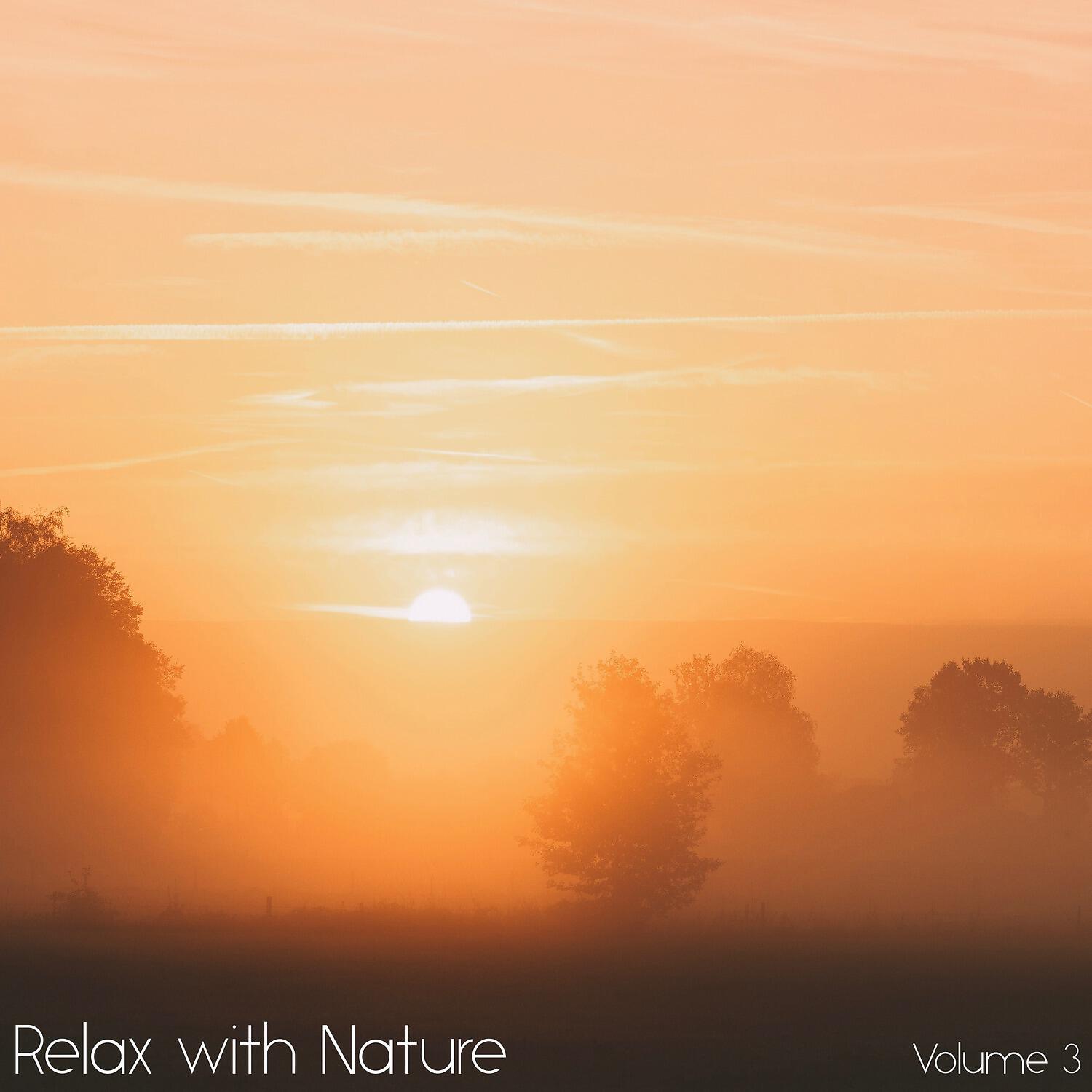 Sounds of Nature White Noise for Mindfulness Meditation and Relaxation - Wildlife Night Sounds