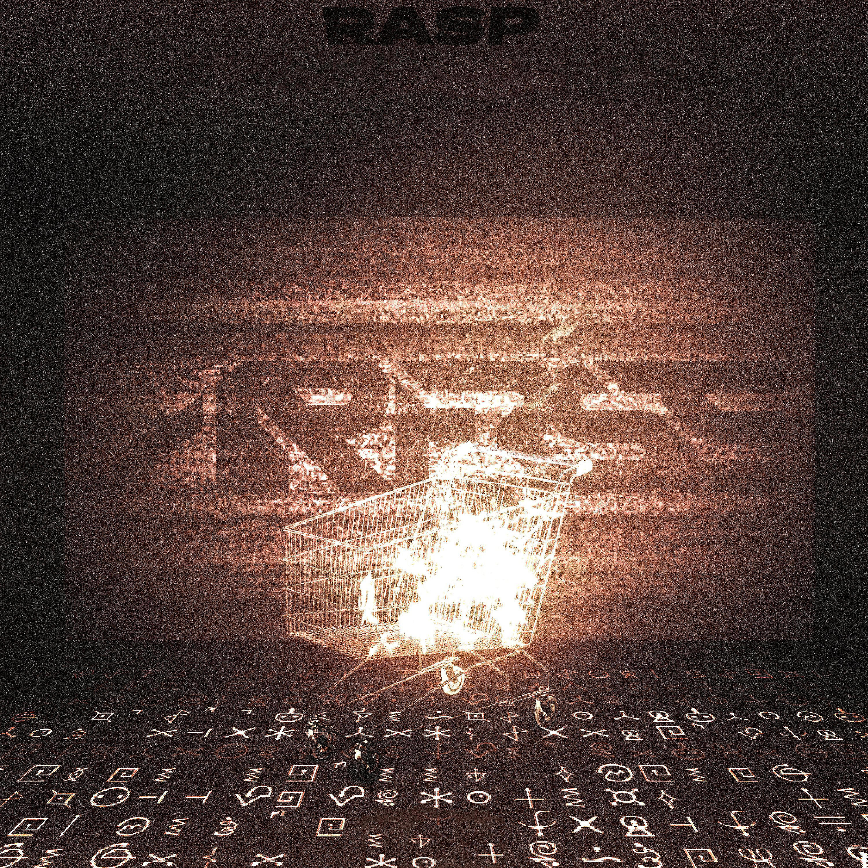 ARF3SE - Rasp