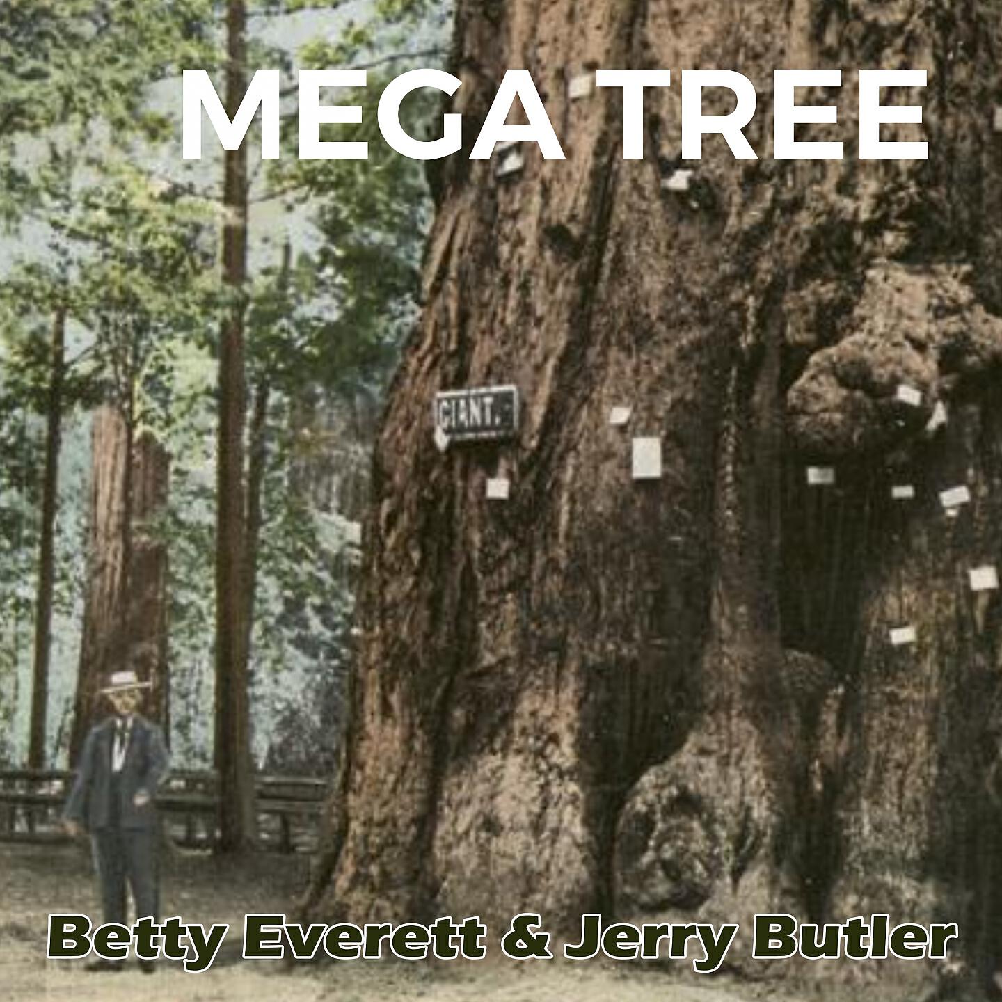 Betty Everett & Jerry Butler - Let The Good Times Roll