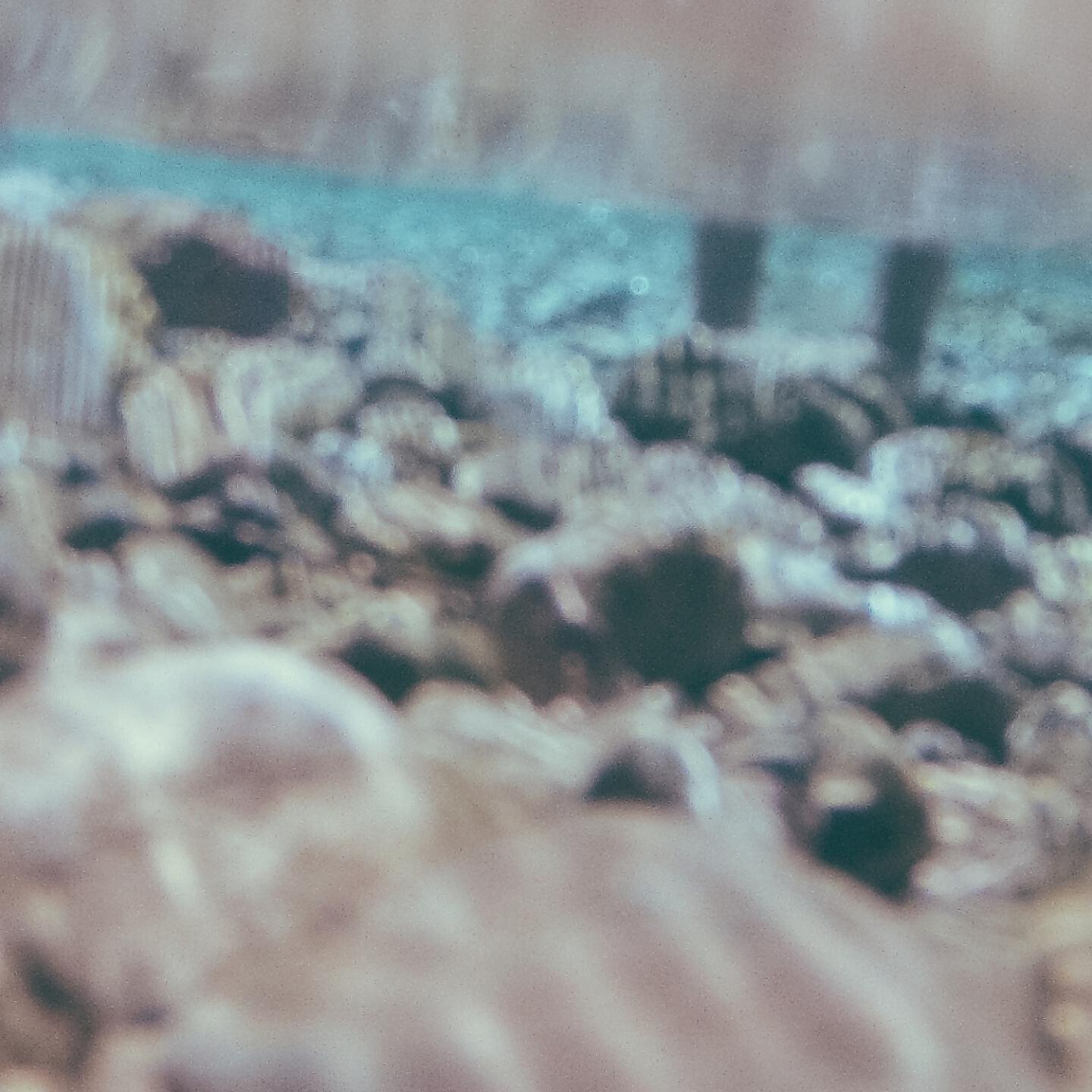 Zac Bronski - Refresh