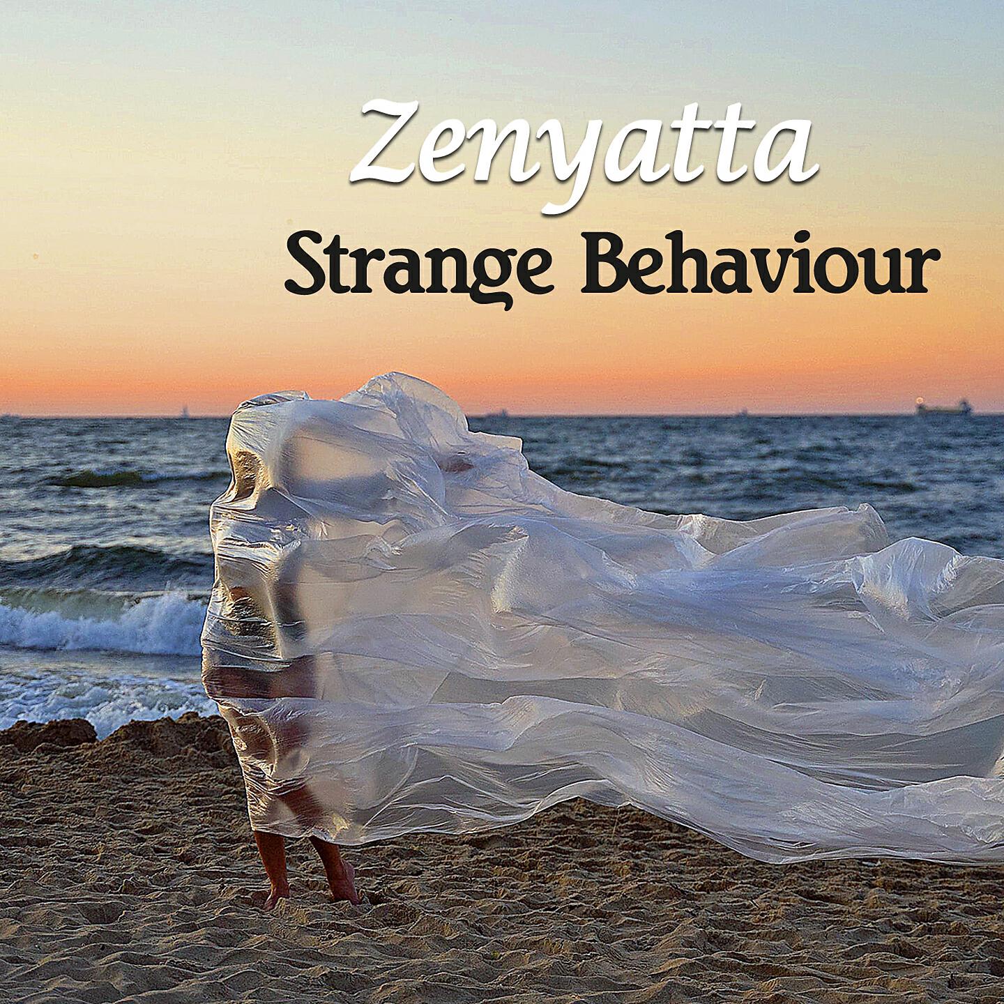 Zenyatta - Strange Behaviour (Original Mix)