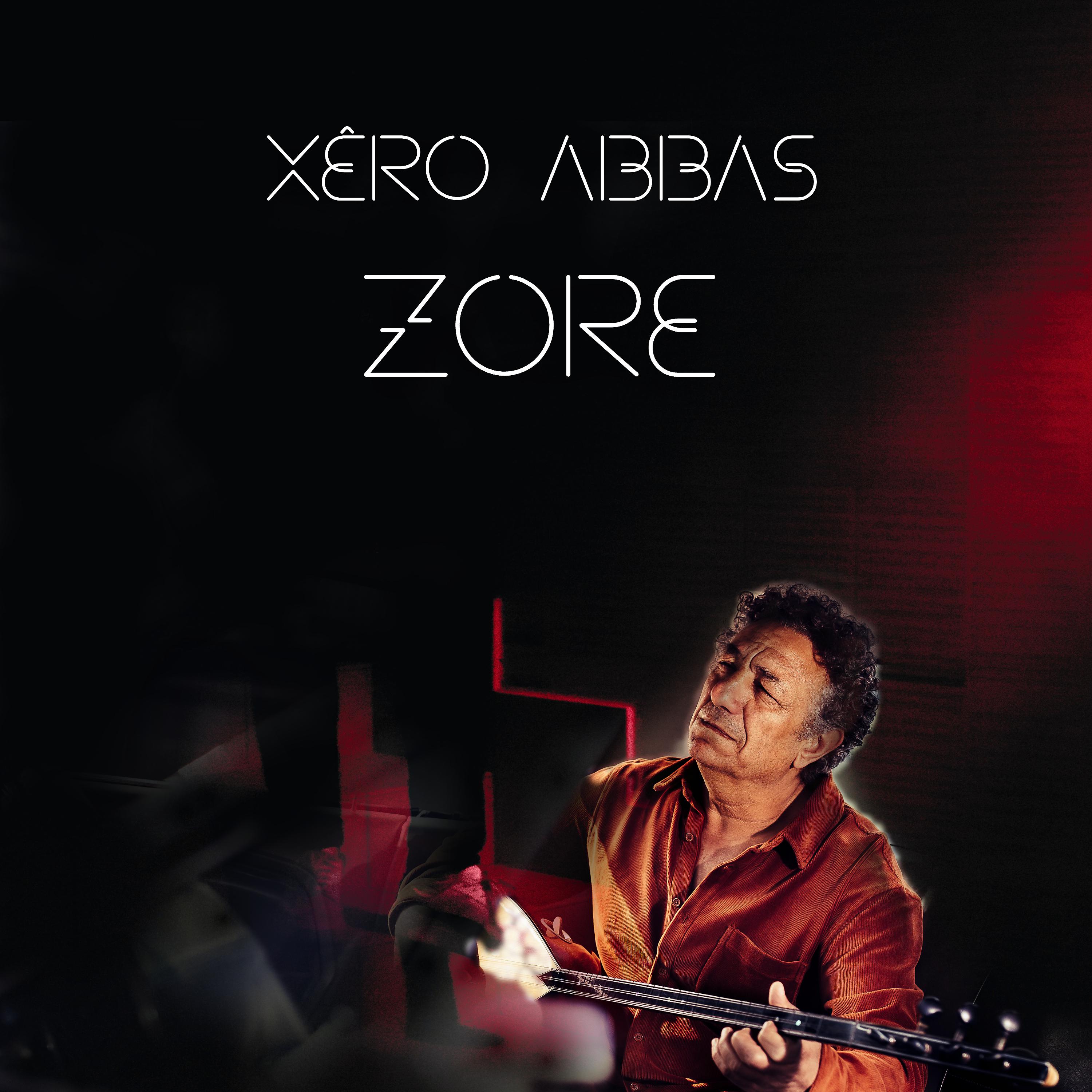 Постер альбома Zorê