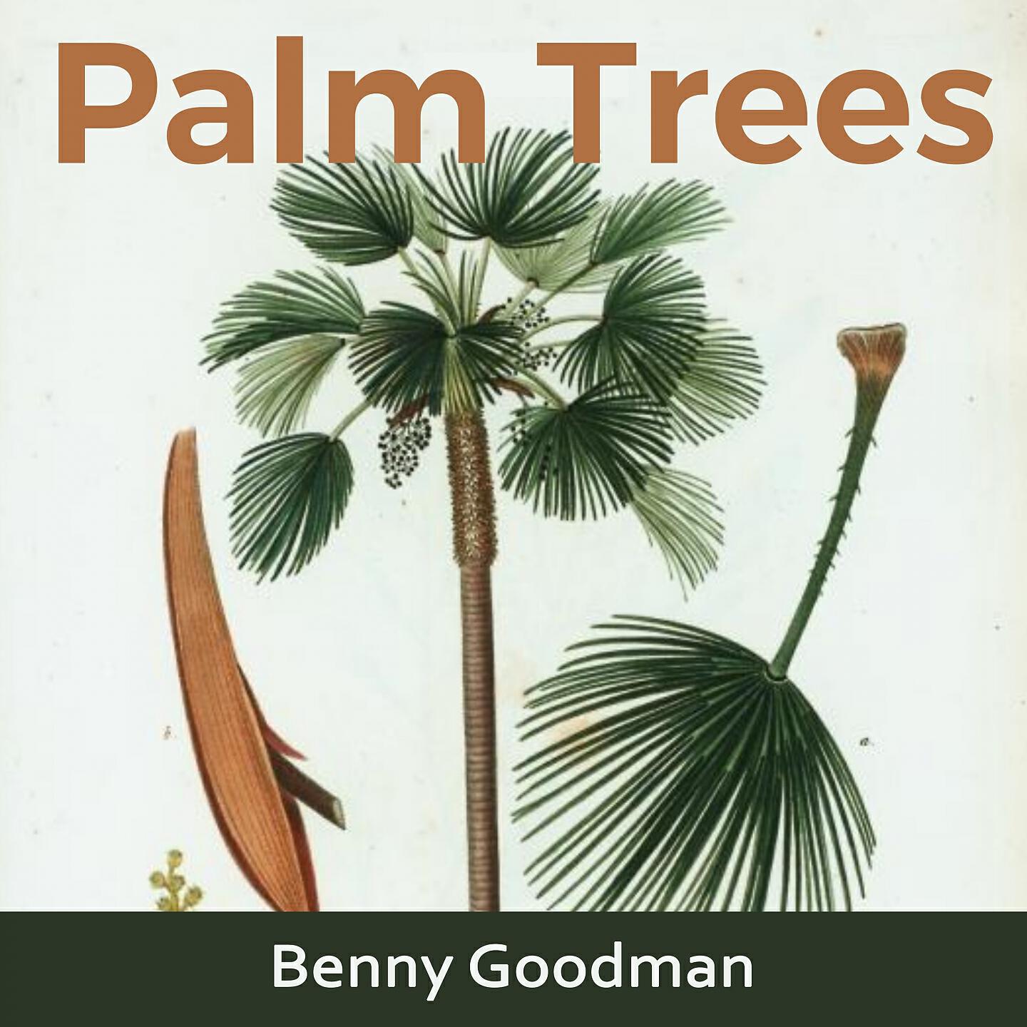 Benny Goodman - Dizzy Spells