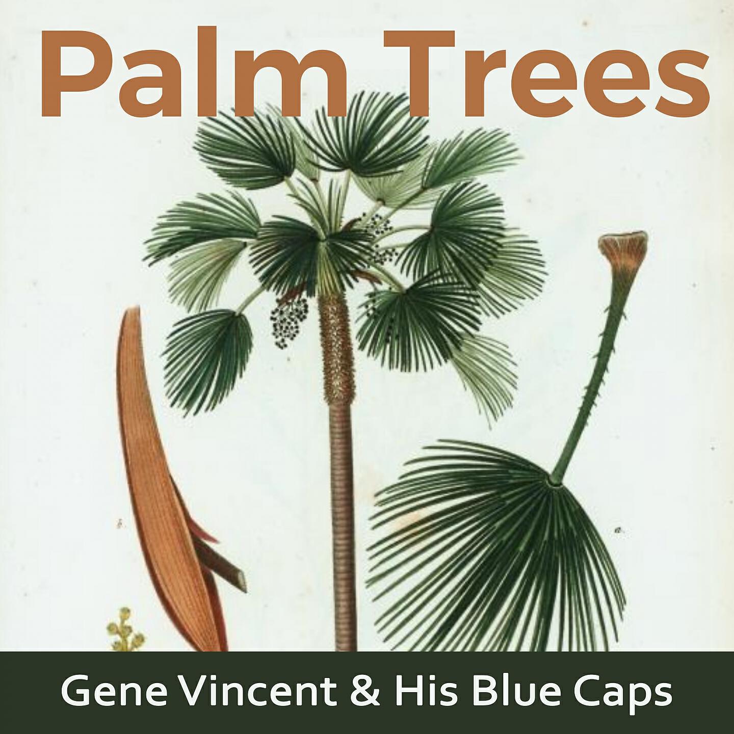 Gene Vincent & His Blue Caps - I Sure Miss You