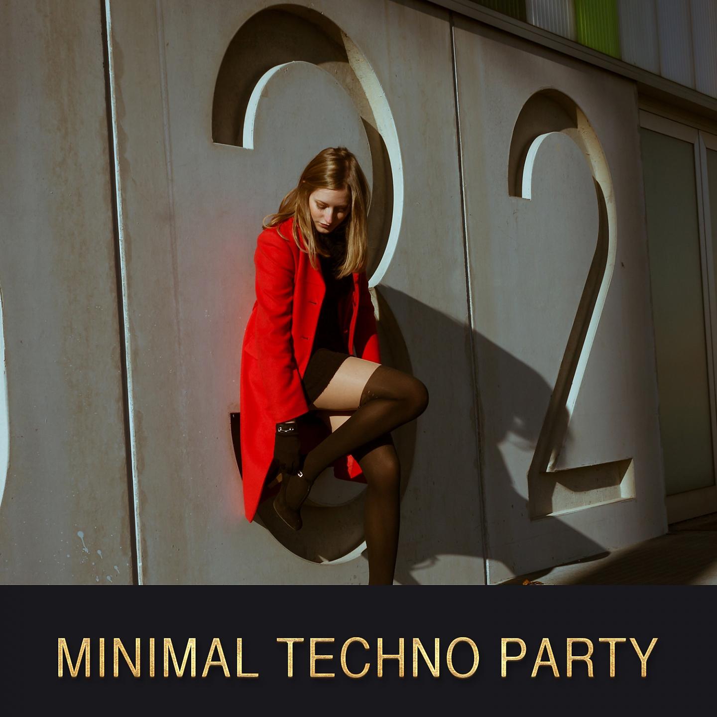 Постер альбома Minimal Techno Party