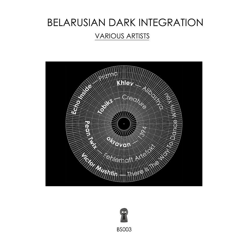 Постер альбома Belarusian Dark Integration