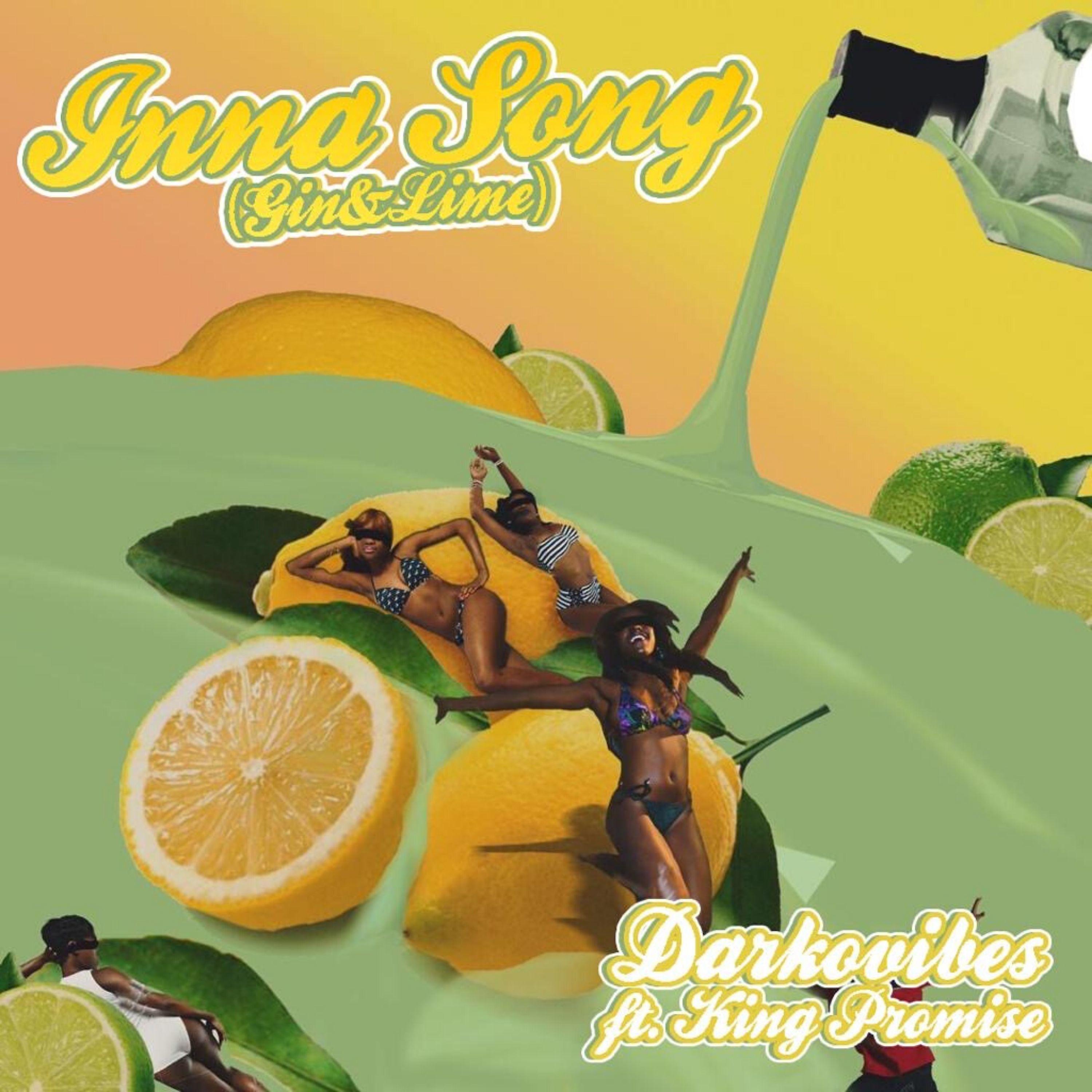 Постер альбома Inna Song (Gin & Lime)