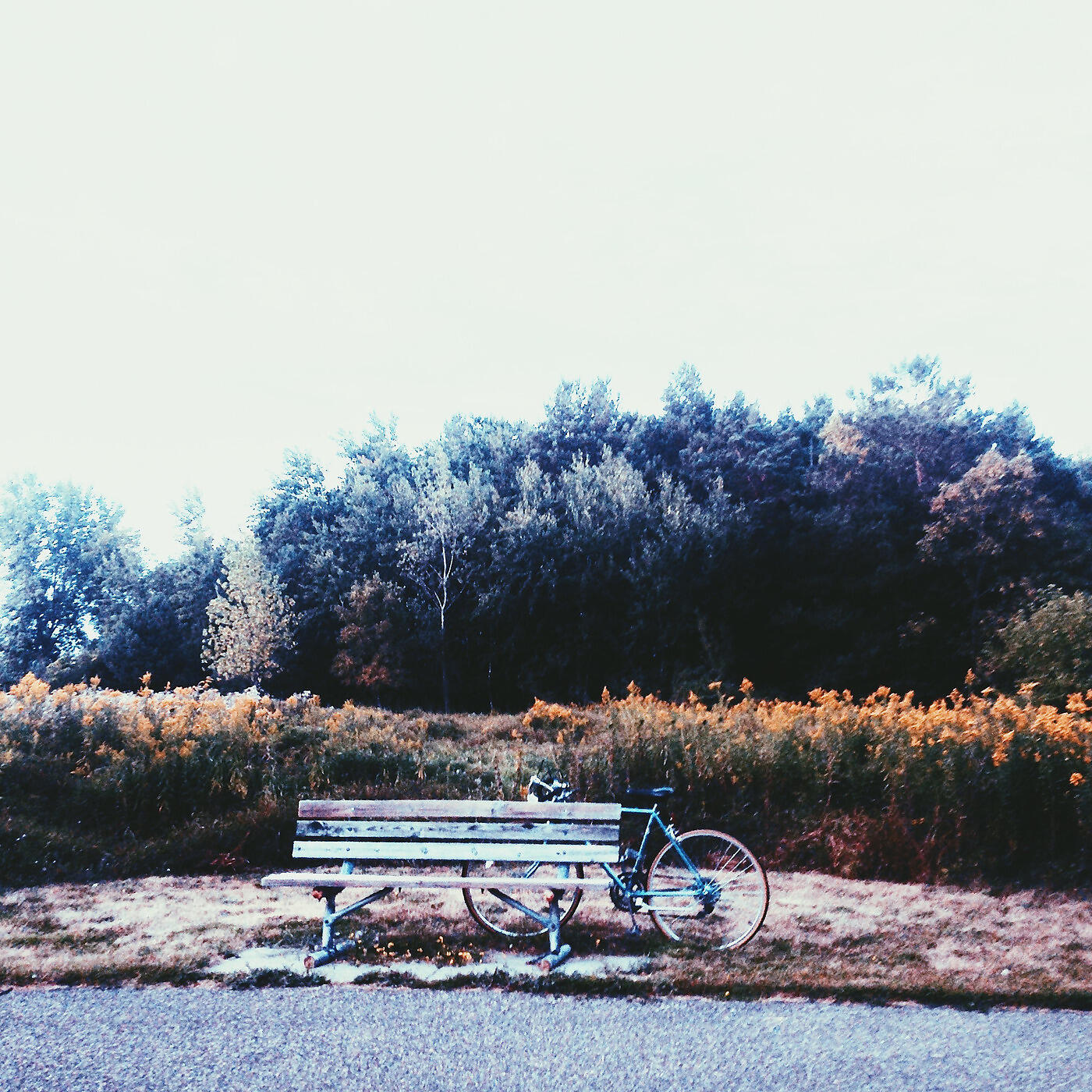 Brotherkenzie - Little Rabbit