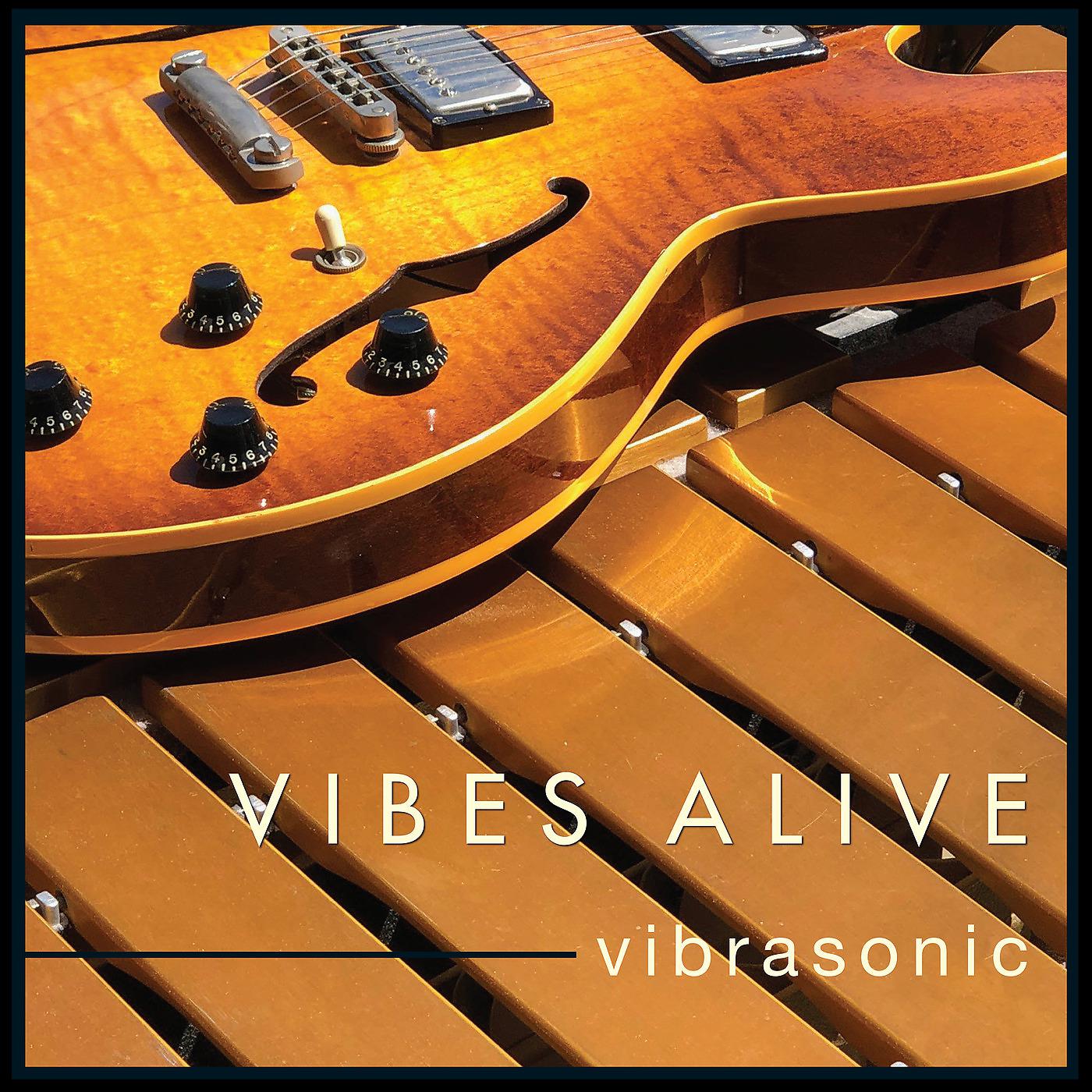 Постер альбома Vibrasonic
