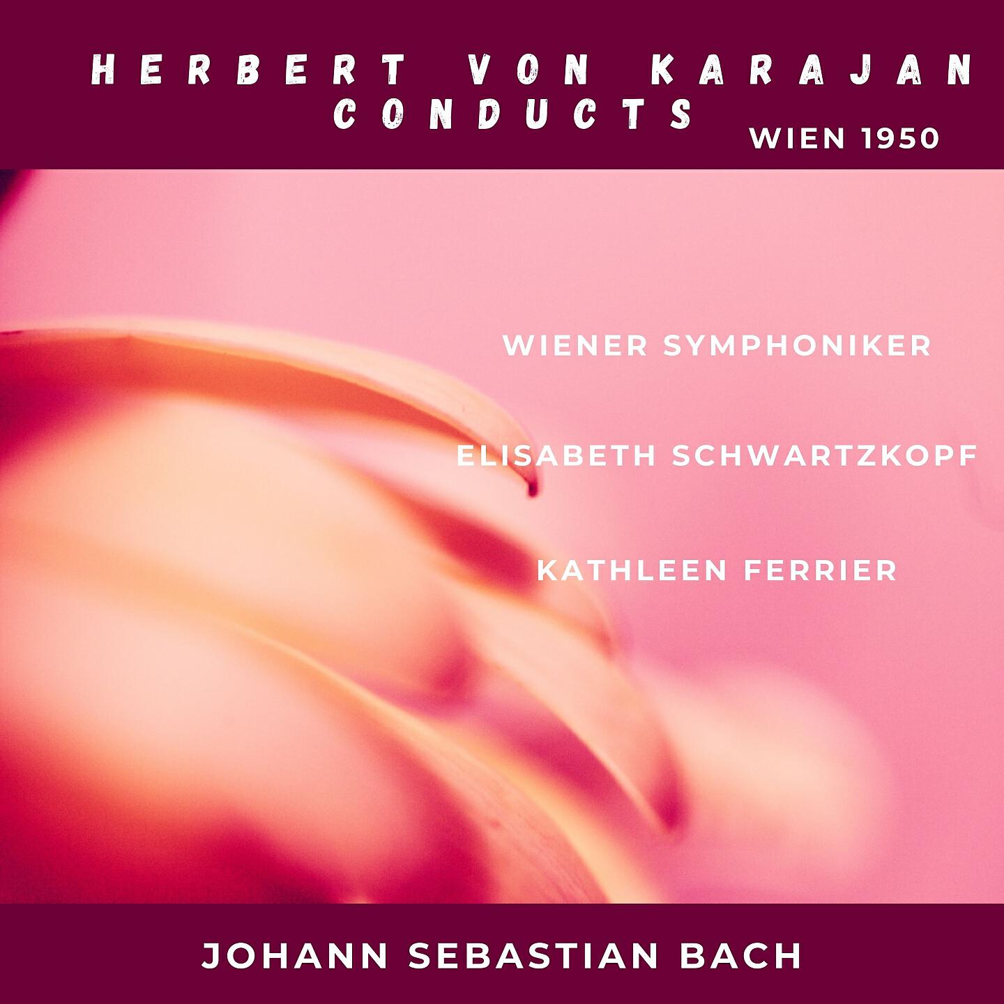 Wiener Symphoniker - Symbolicum nicenum : Credo in unum Deum (Credo)