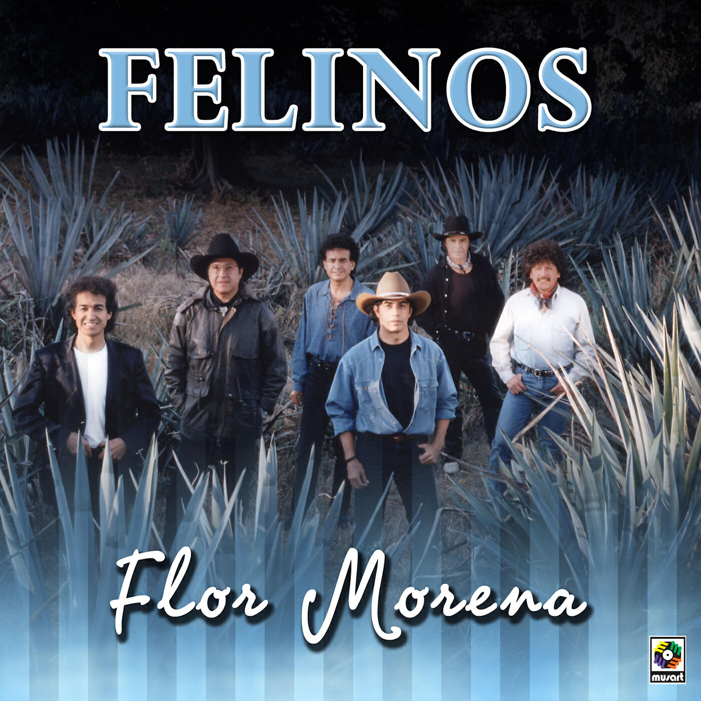 Los Felinos - Morena De Quince Años
