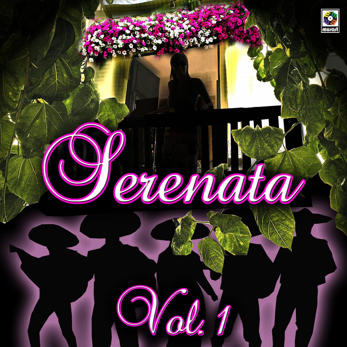 Постер альбома Serenata, Vol. 1