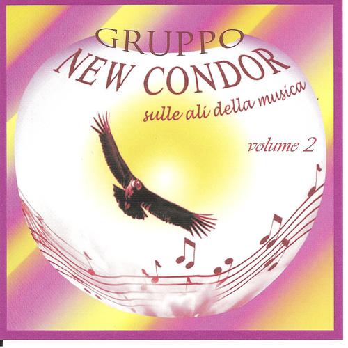 Постер альбома Gruppo New Condor, Vol. 2
