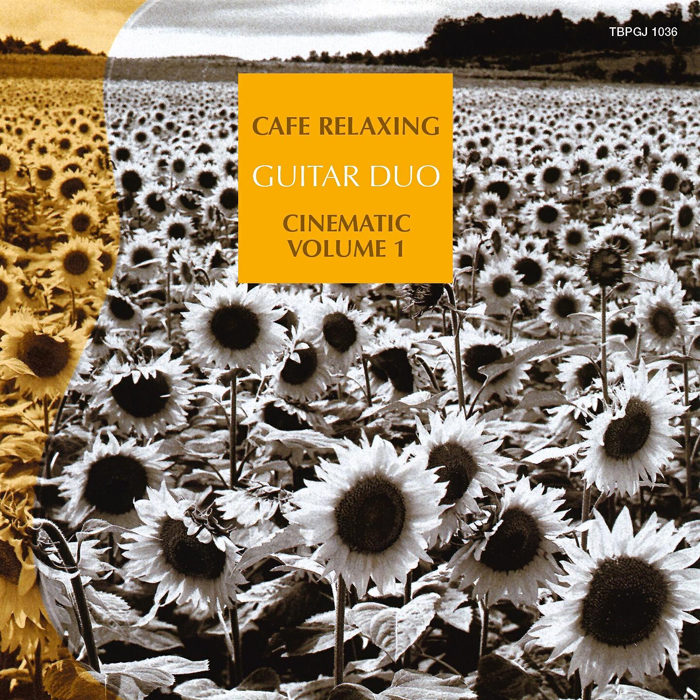 Guitar Duo - The Feast At the House of Capulet (Romeo and Juliet)