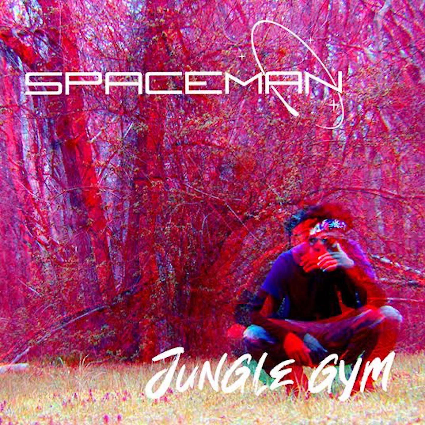 Постер альбома Jungle Gym