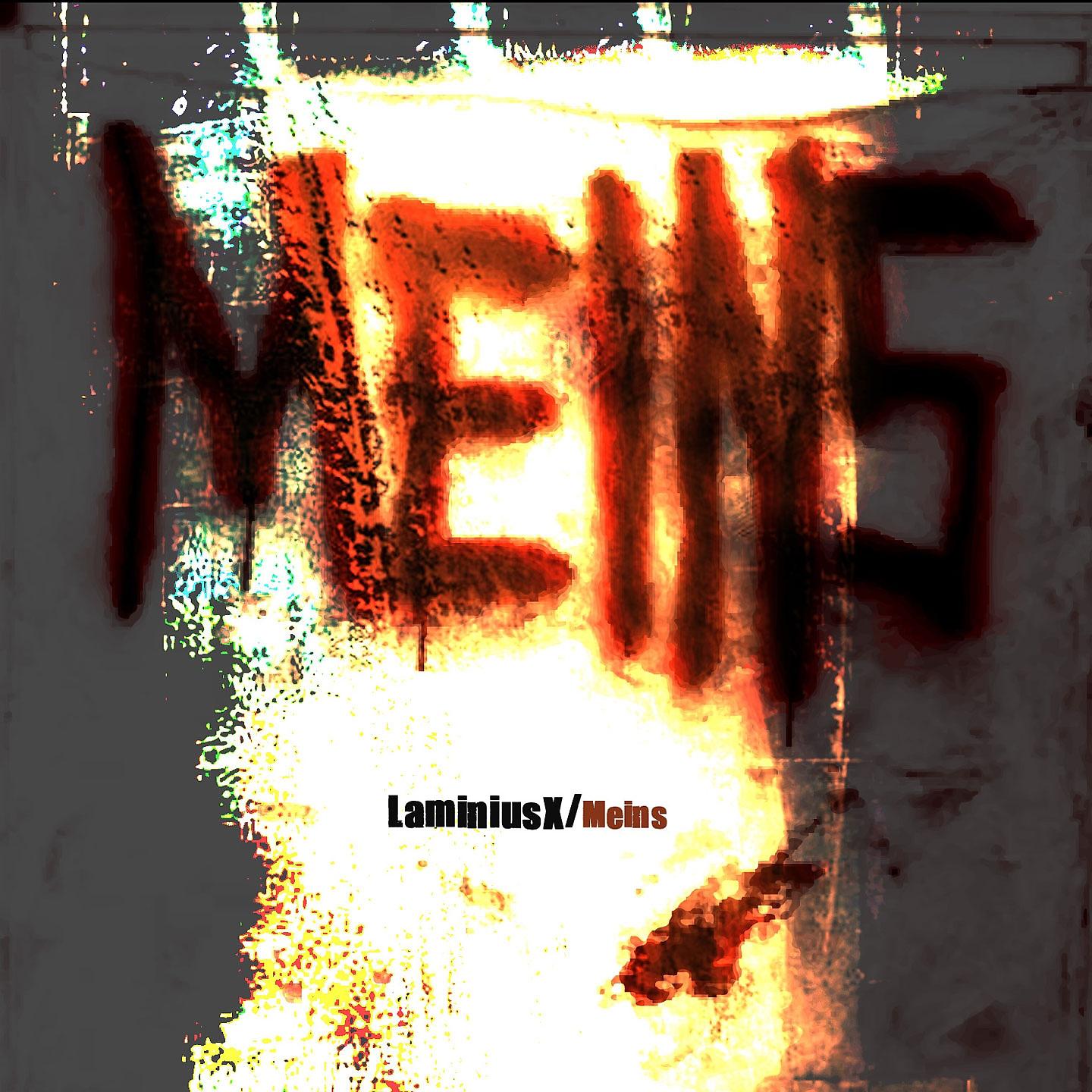 Постер альбома Meins