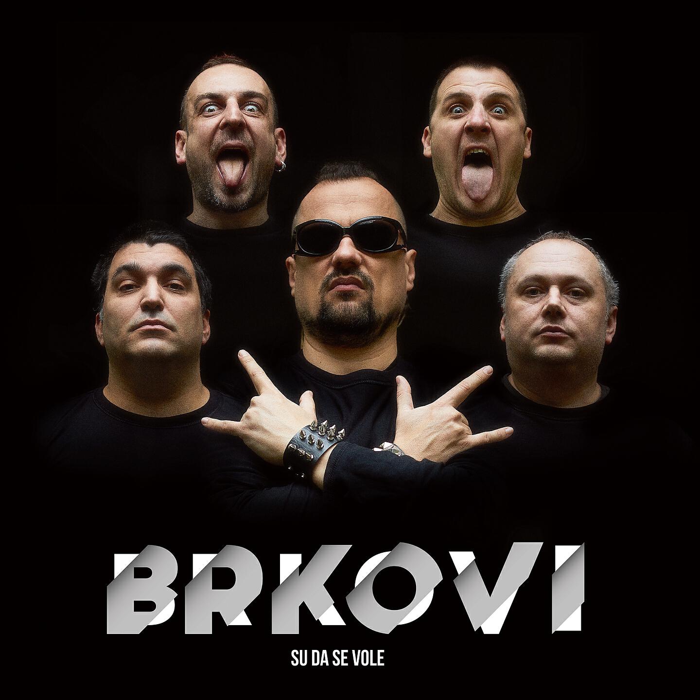Brkovi - Drumska ljepotica