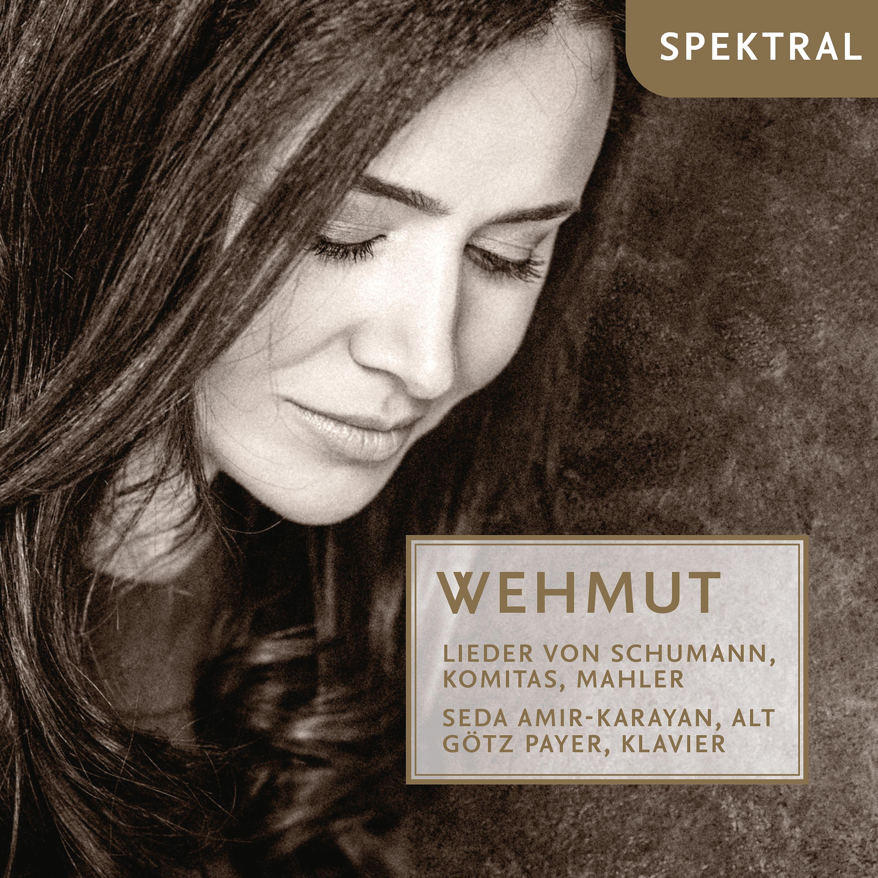 Постер альбома Wehmut