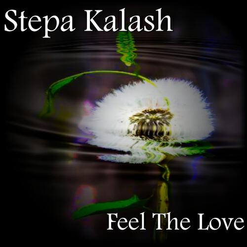 Stepa Kalash - Feel the Love